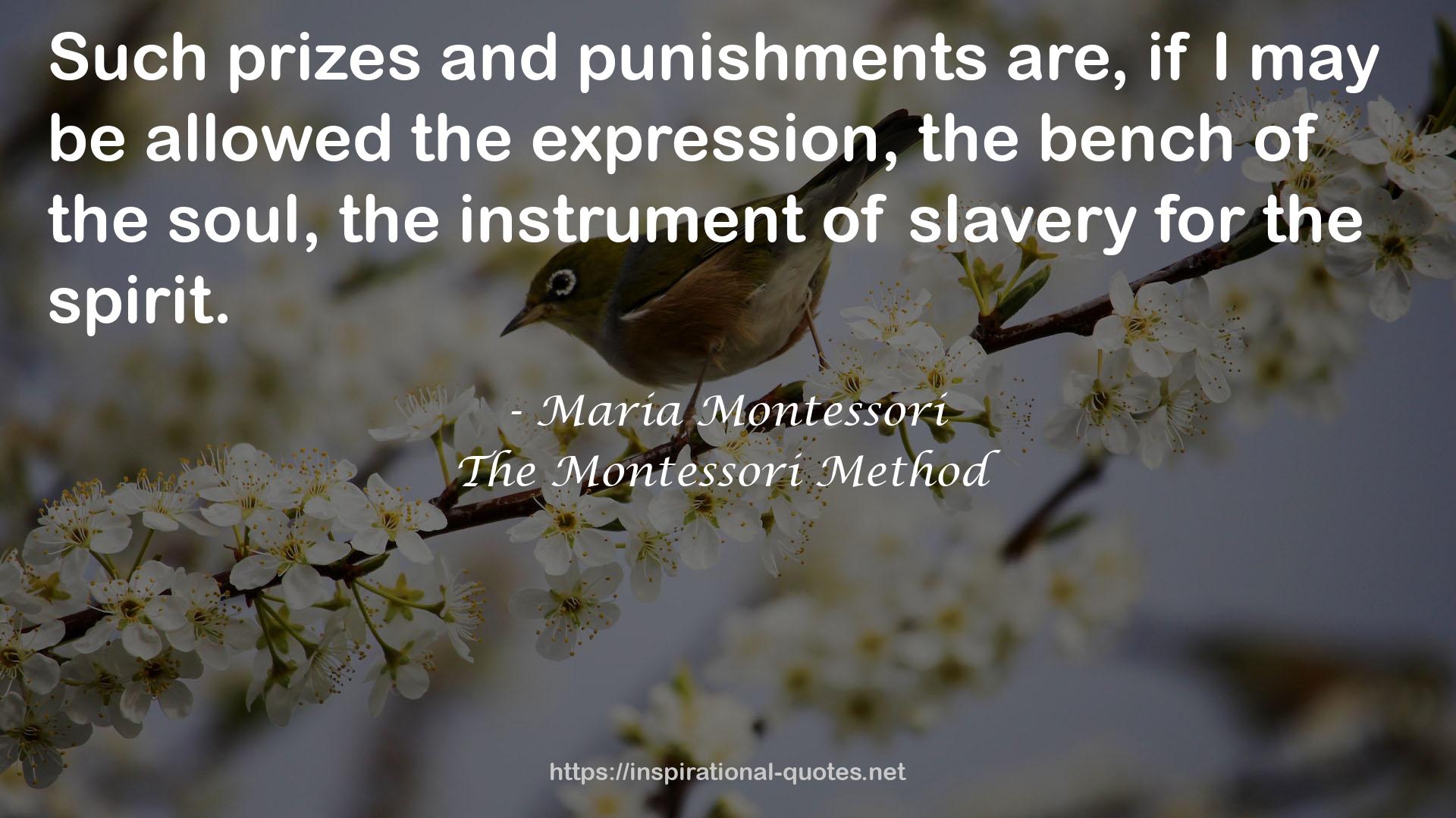 The Montessori Method QUOTES