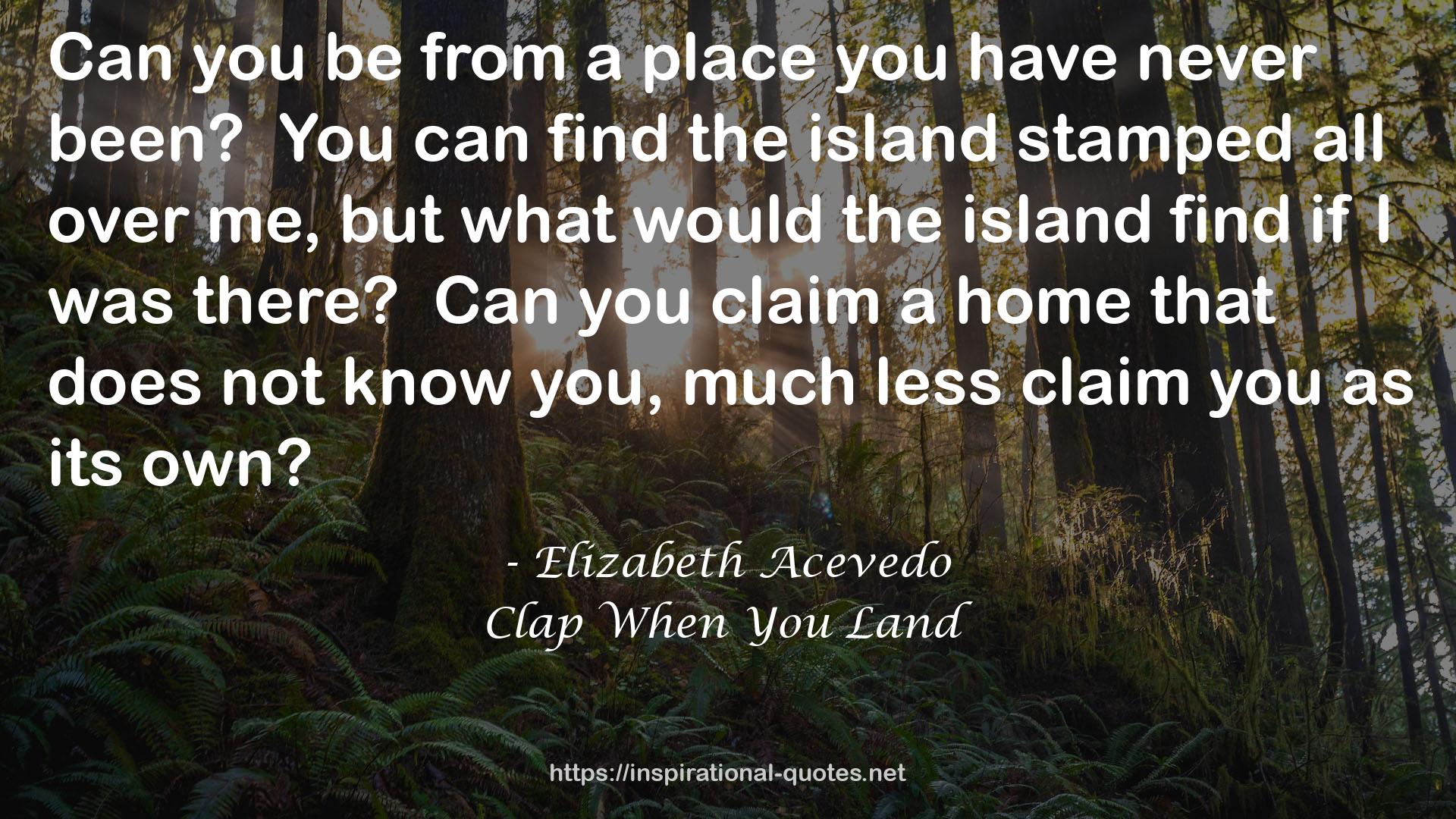 Elizabeth Acevedo QUOTES