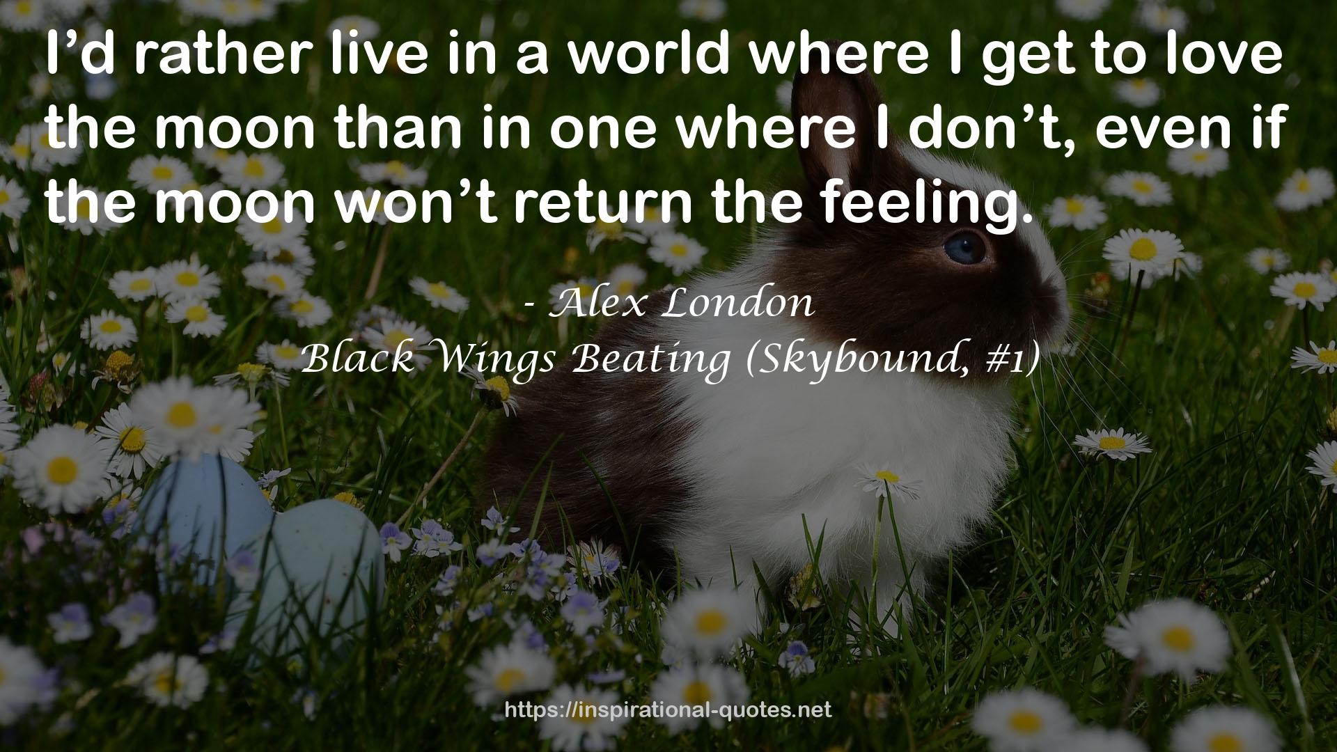 Black Wings Beating (Skybound, #1) QUOTES