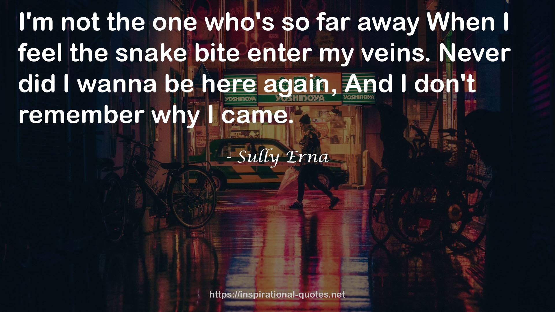 Sully Erna QUOTES