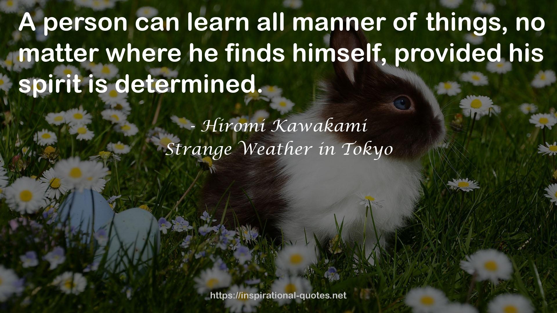 Strange Weather in Tokyo QUOTES