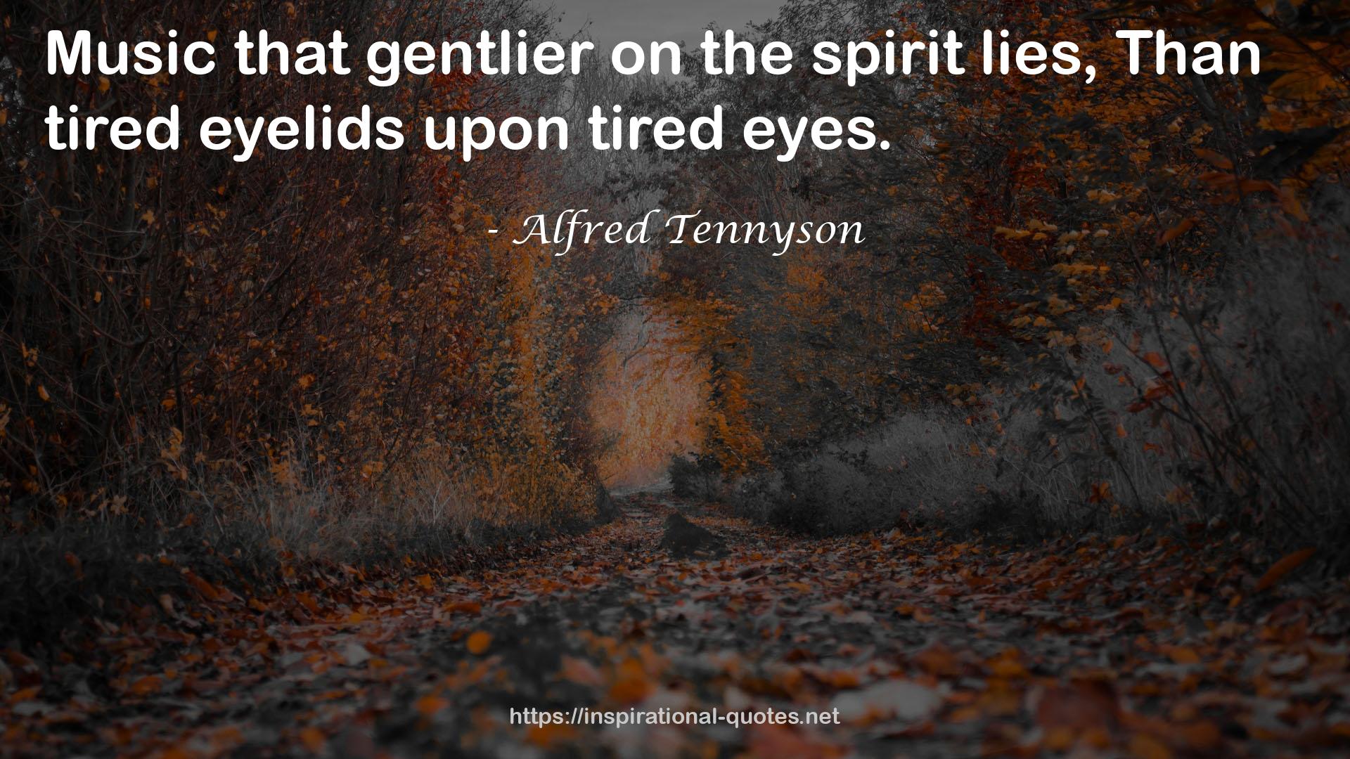 tired eyelids  QUOTES