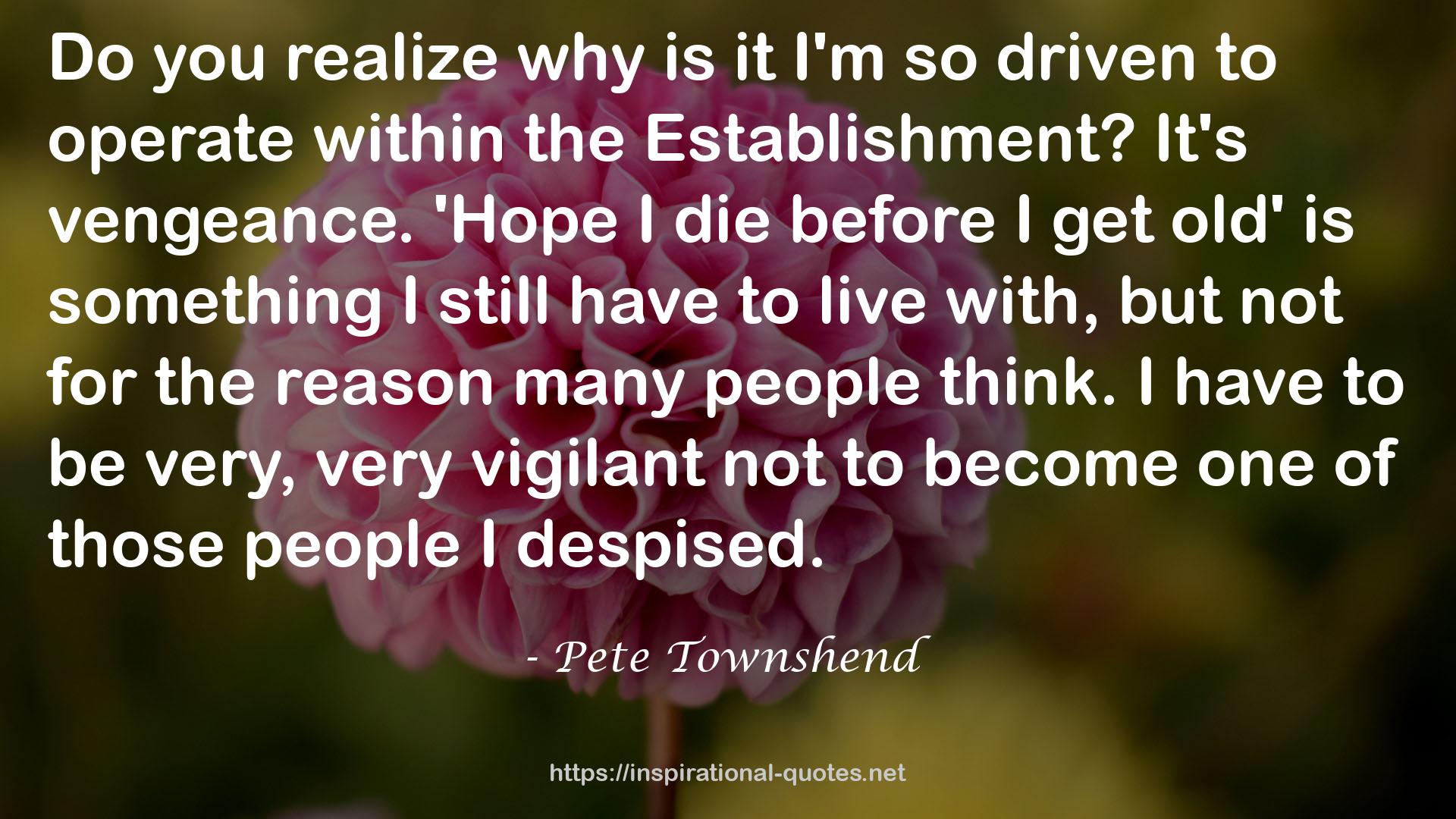 Pete Townshend QUOTES
