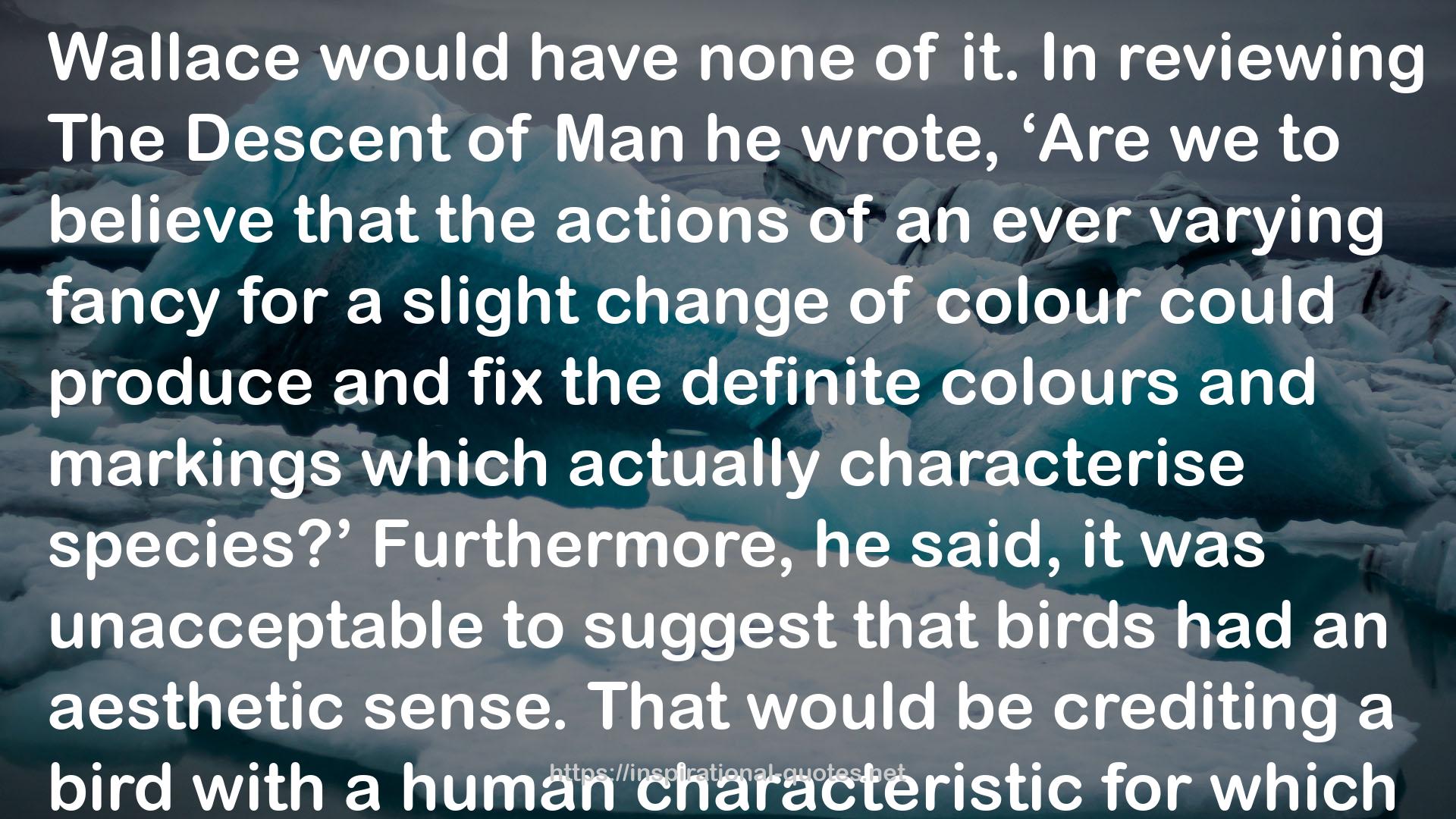 David Attenborough's Why Do Birds of Paradise Dance (Collins Shorts, Book 7) QUOTES