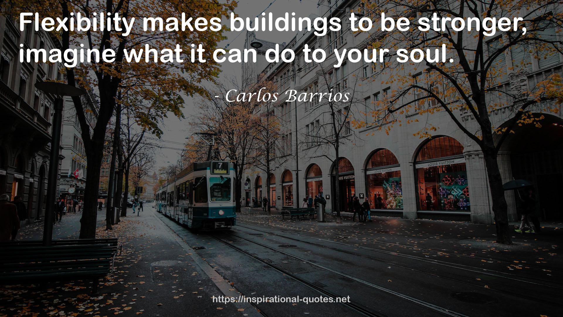 Carlos Barrios QUOTES