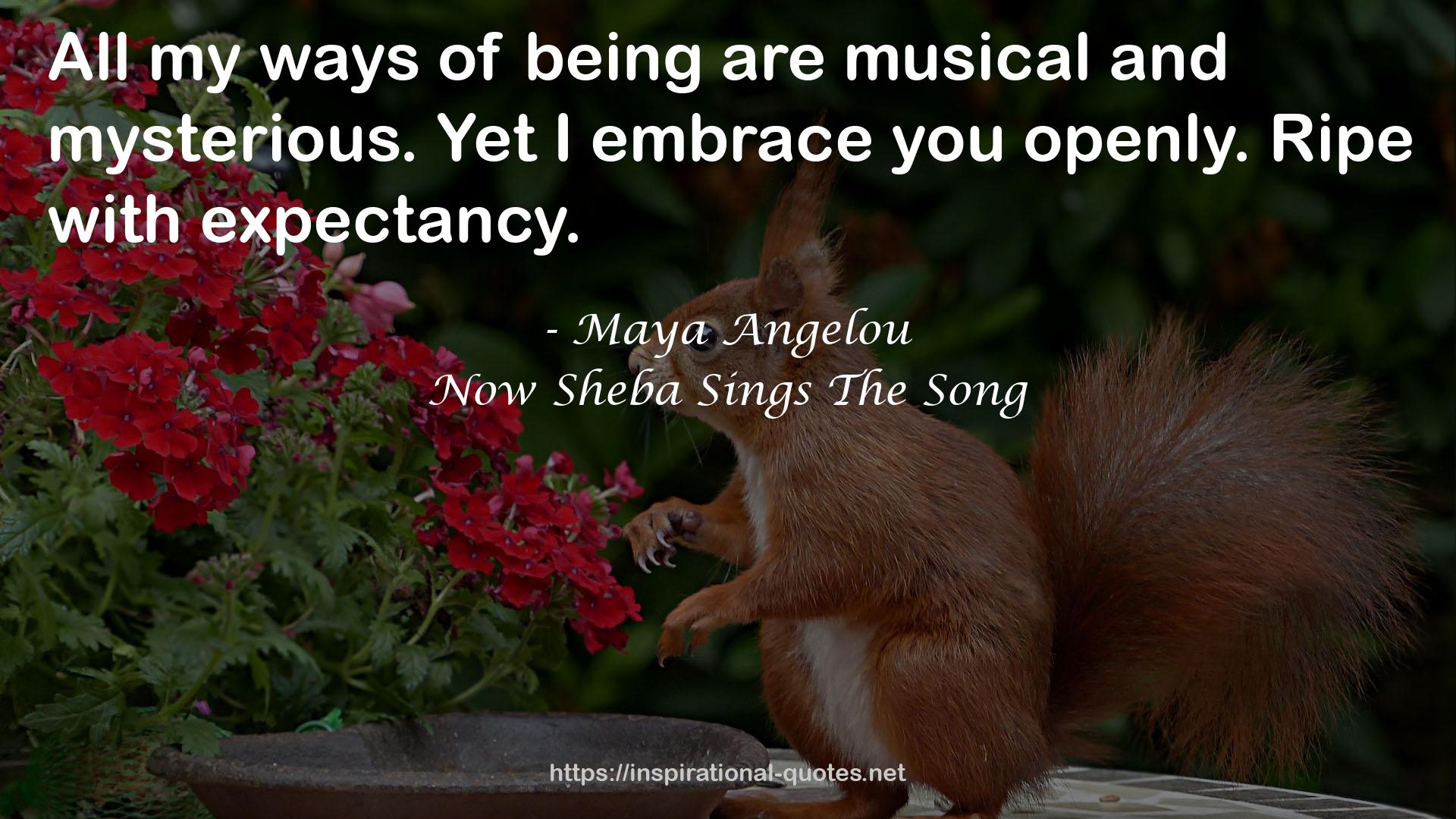 Now Sheba Sings The Song QUOTES