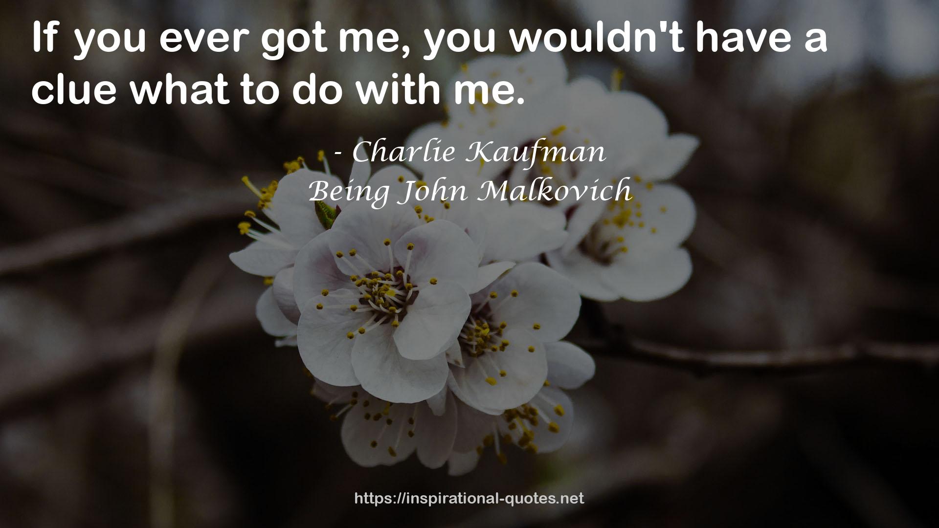 Being John Malkovich QUOTES