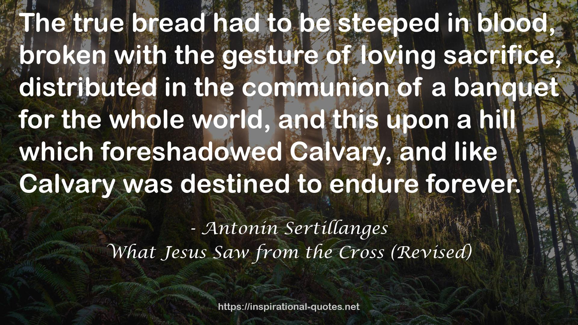 What Jesus Saw from the Cross (Revised) QUOTES