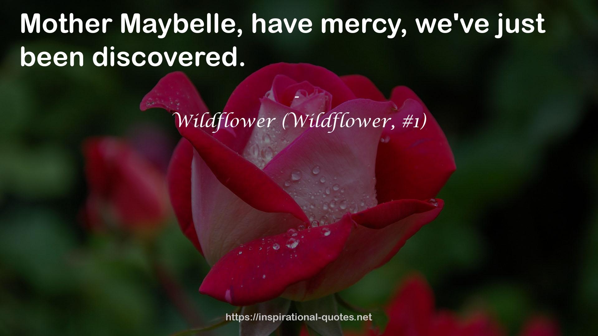 Wildflower (Wildflower, #1) QUOTES