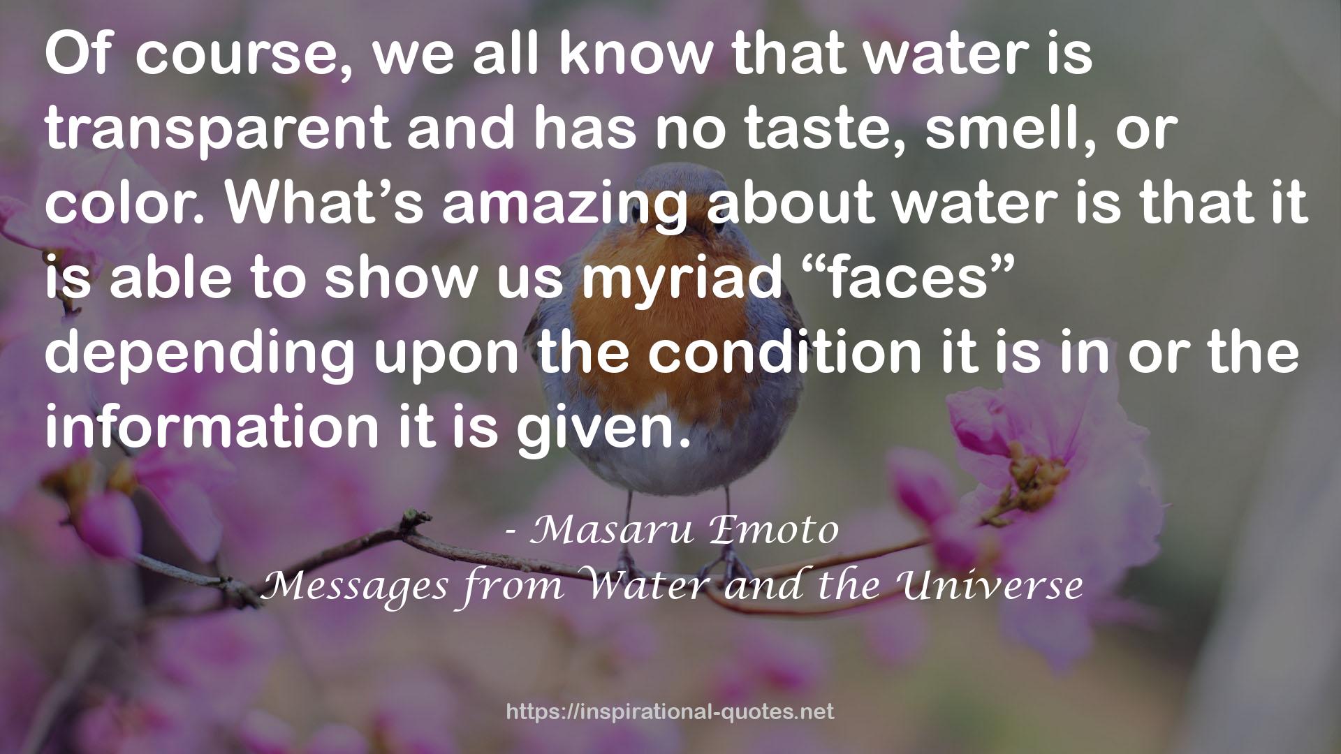 Messages from Water and the Universe QUOTES