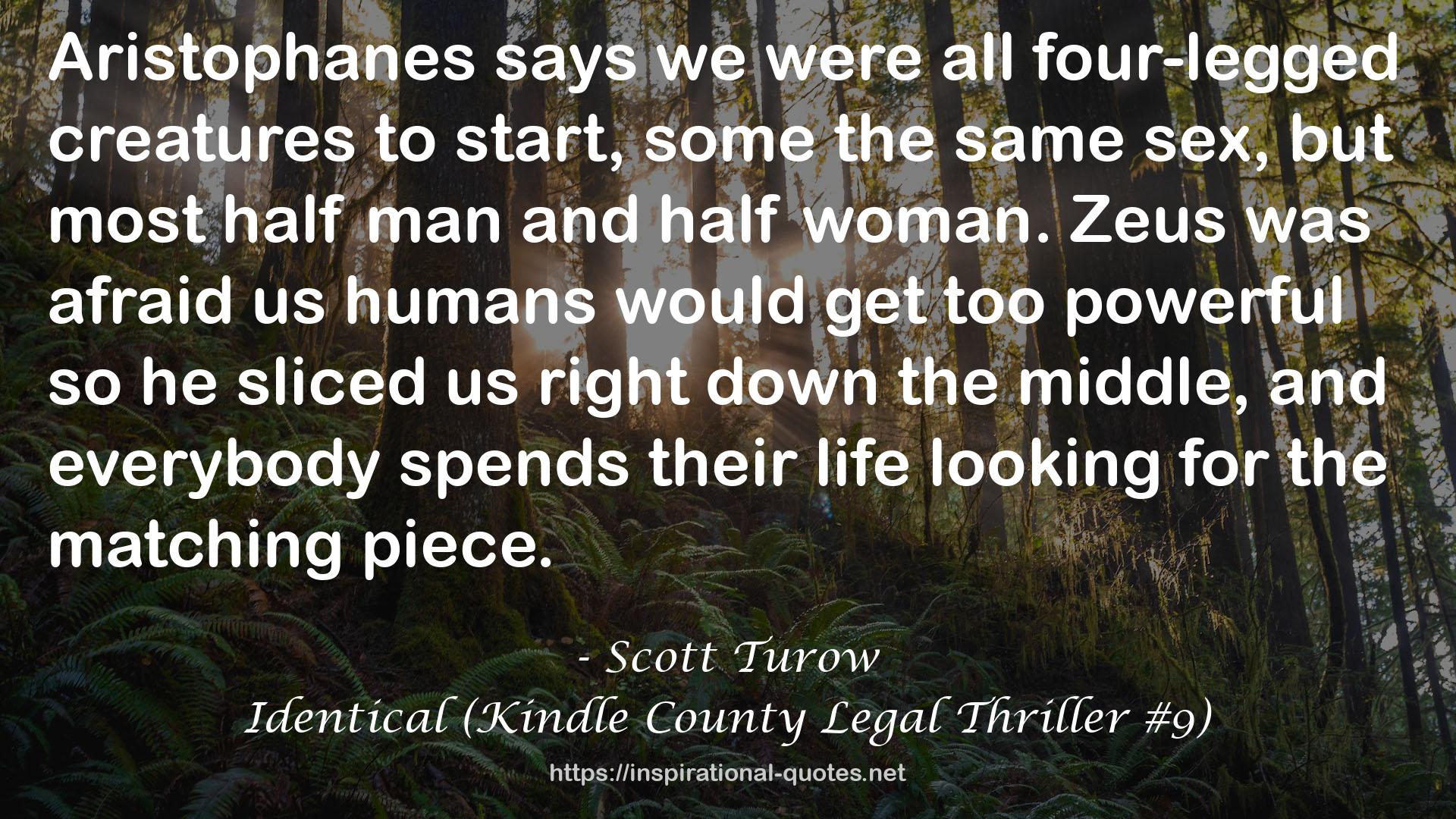 Identical (Kindle County Legal Thriller #9) QUOTES