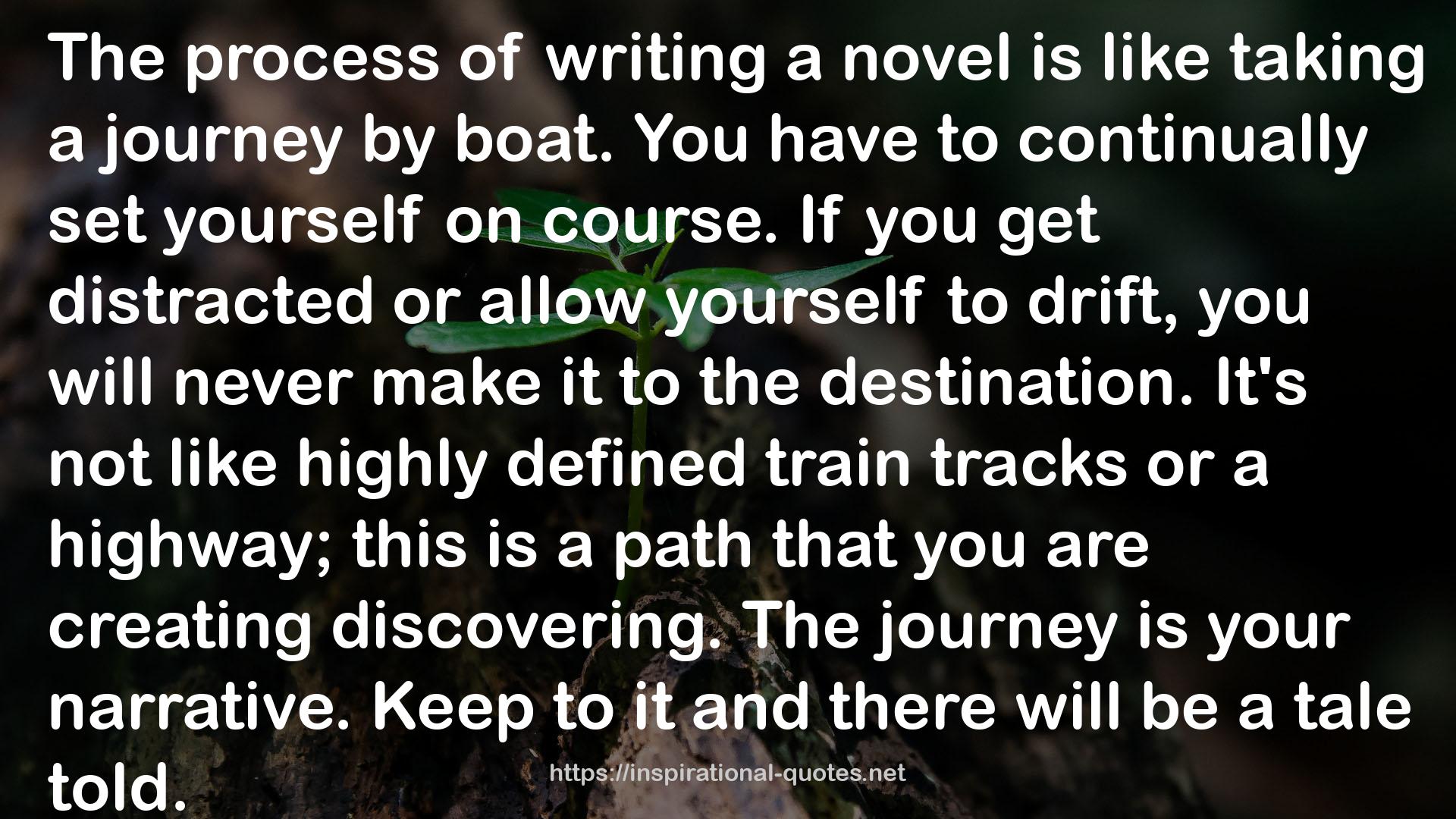 This Year You Write Your Novel QUOTES