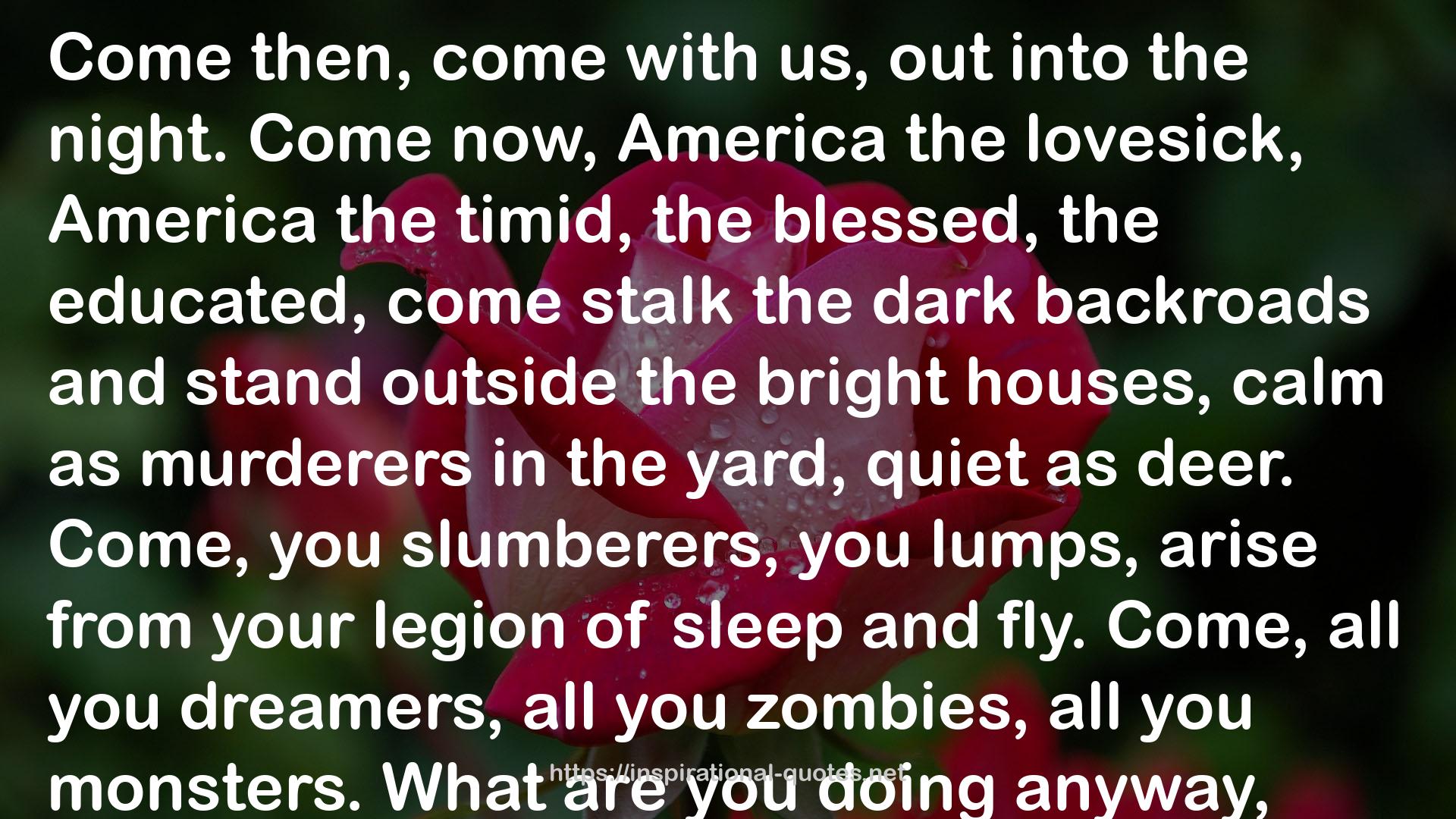The Night Country QUOTES