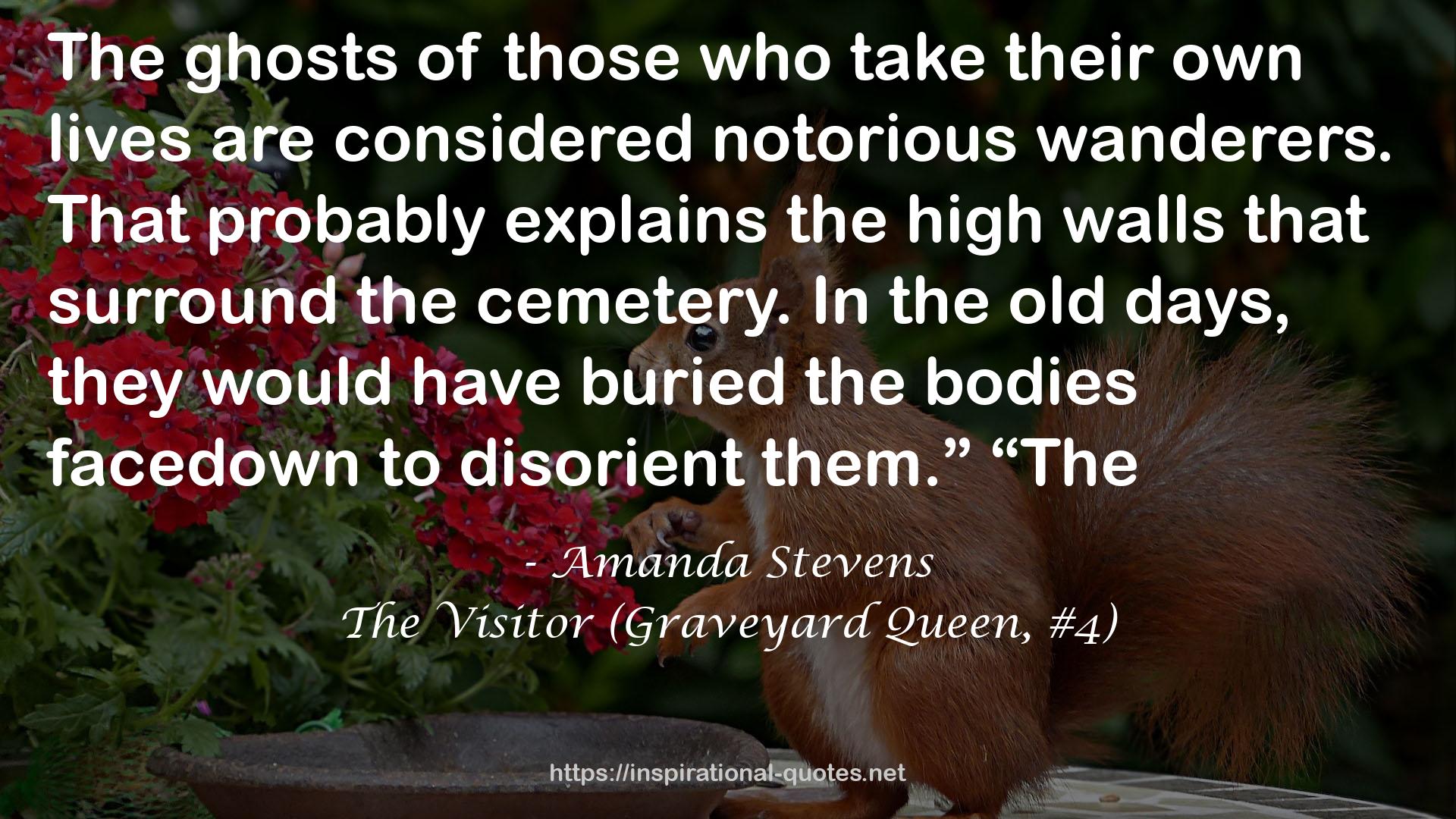 The Visitor (Graveyard Queen, #4) QUOTES