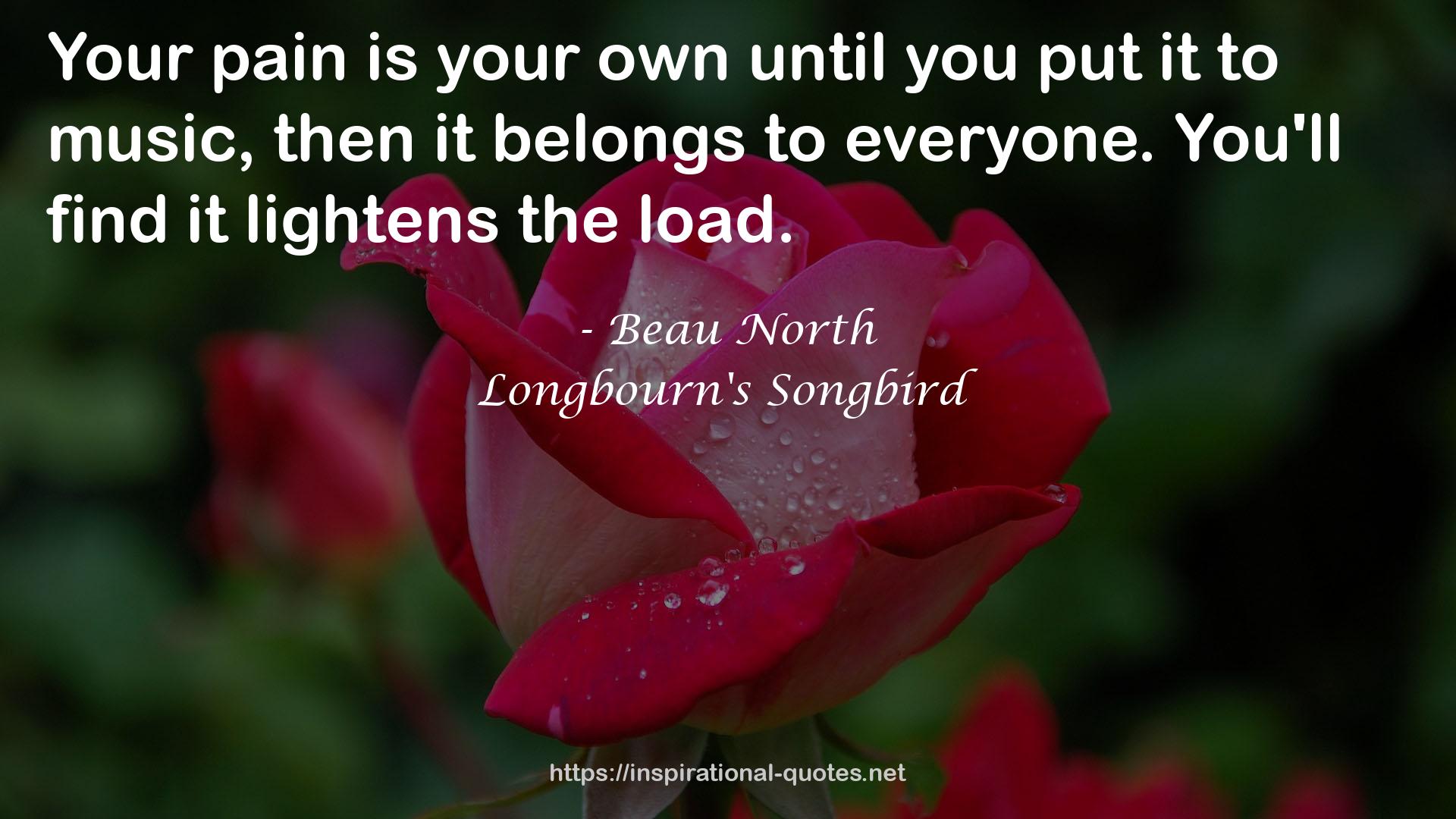Beau North QUOTES