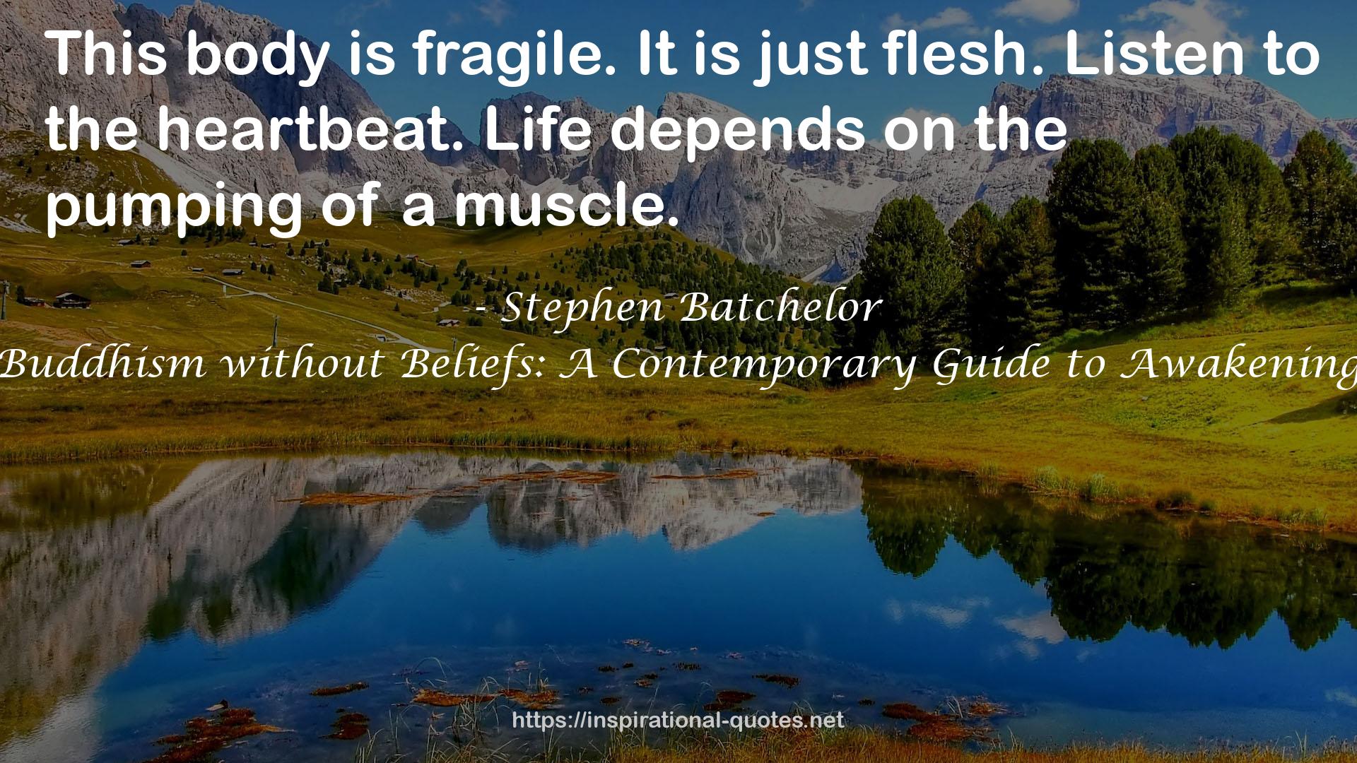 Stephen Batchelor QUOTES