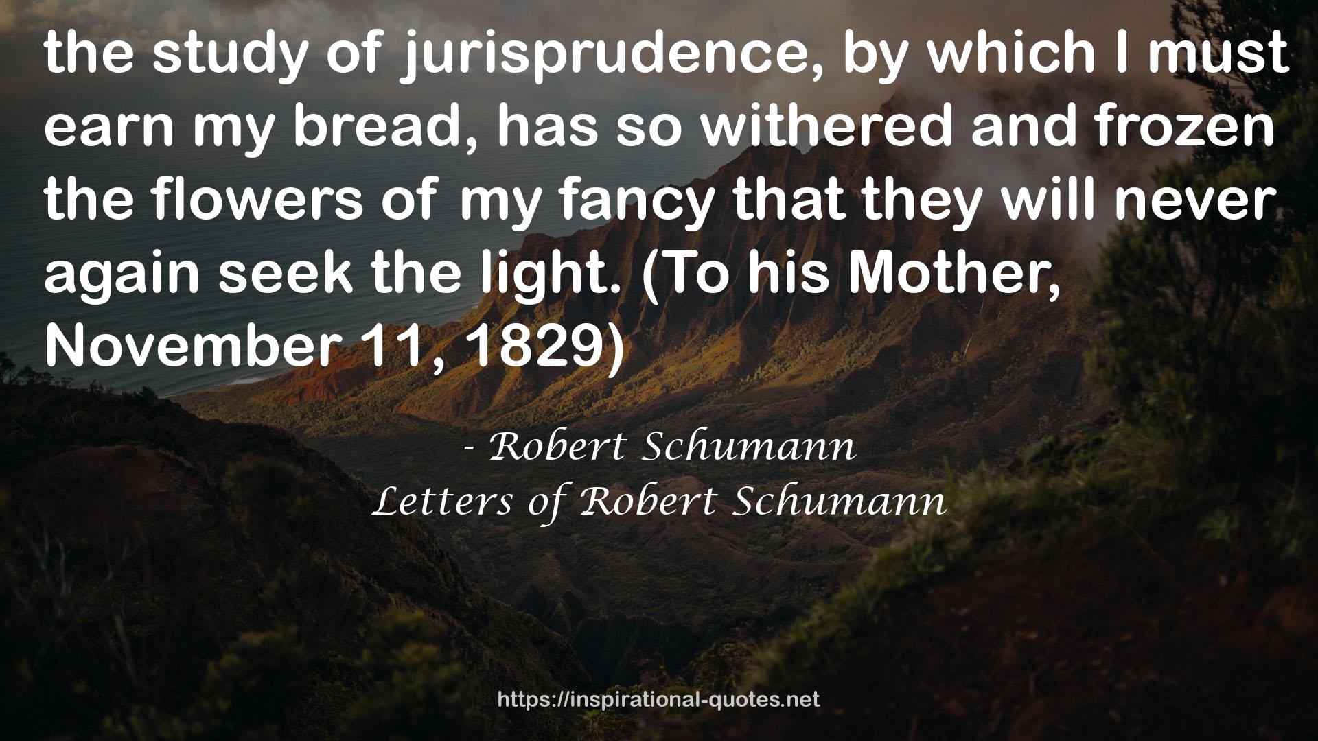 Letters of Robert Schumann QUOTES