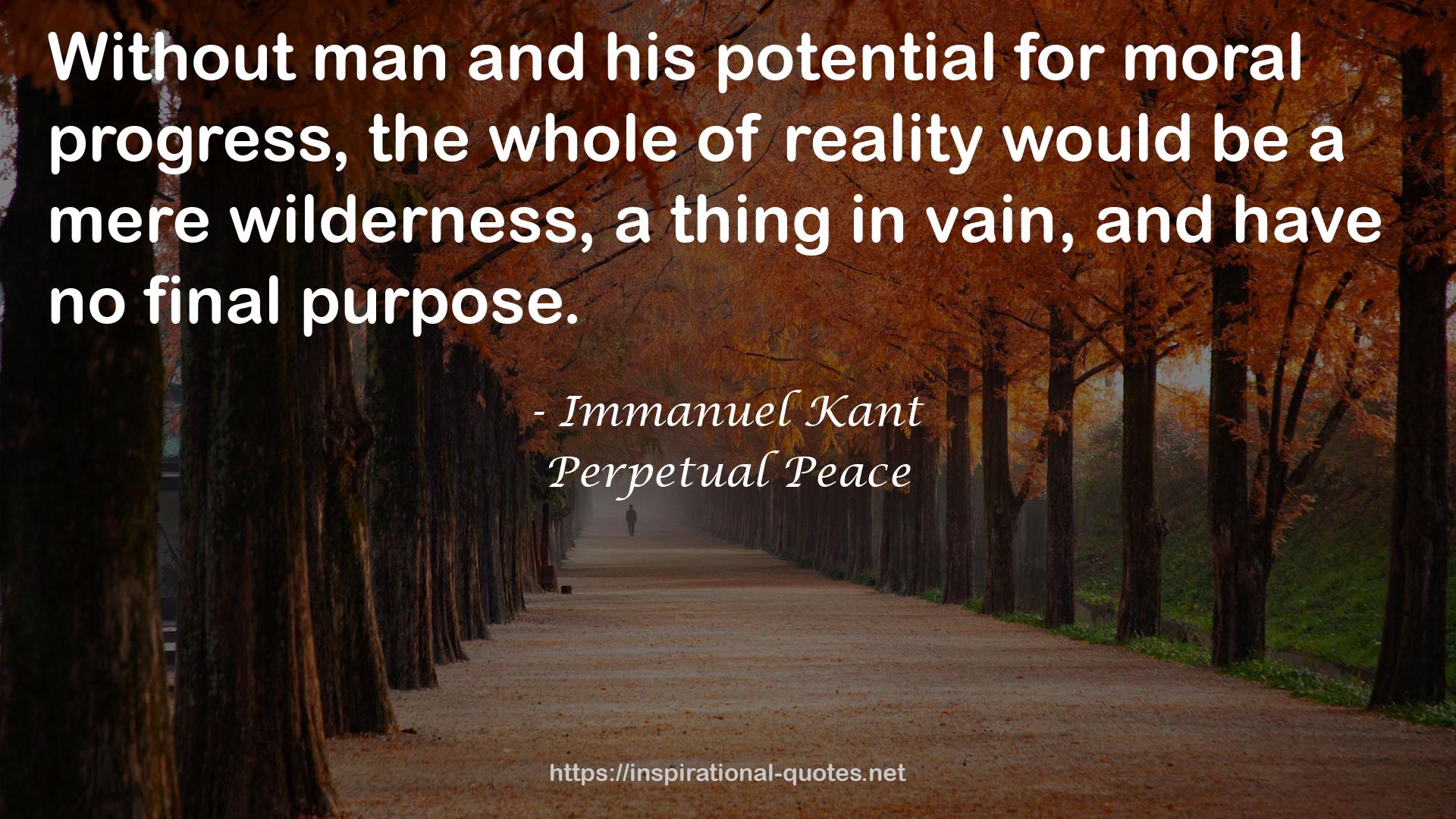 Perpetual Peace QUOTES