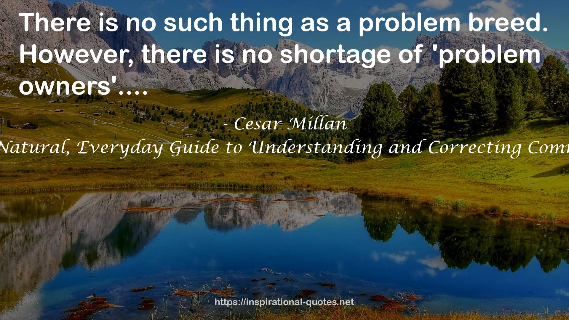Cesar's Way: The Natural, Everyday Guide to Understanding and Correcting Common Dog Problems QUOTES