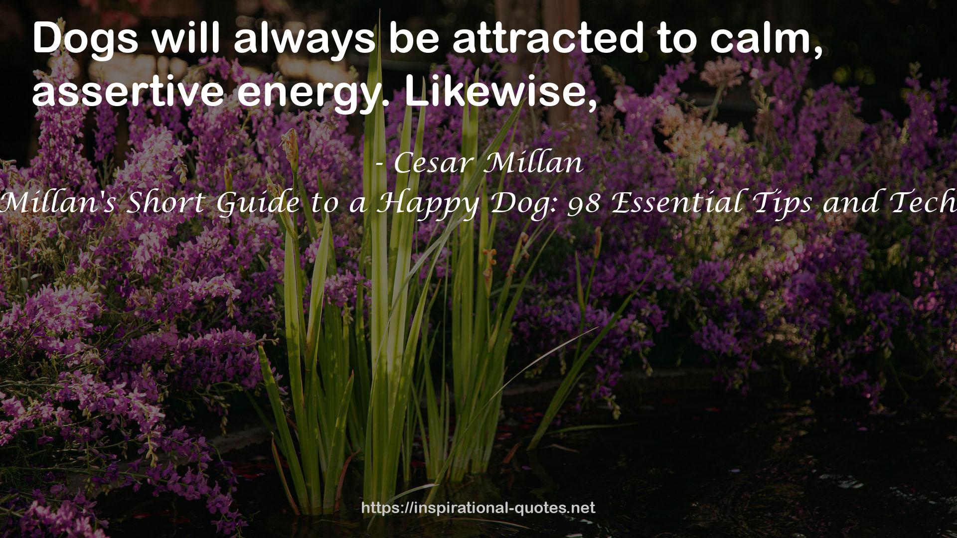 Cesar Millan's Short Guide to a Happy Dog: 98 Essential Tips and Techniques QUOTES