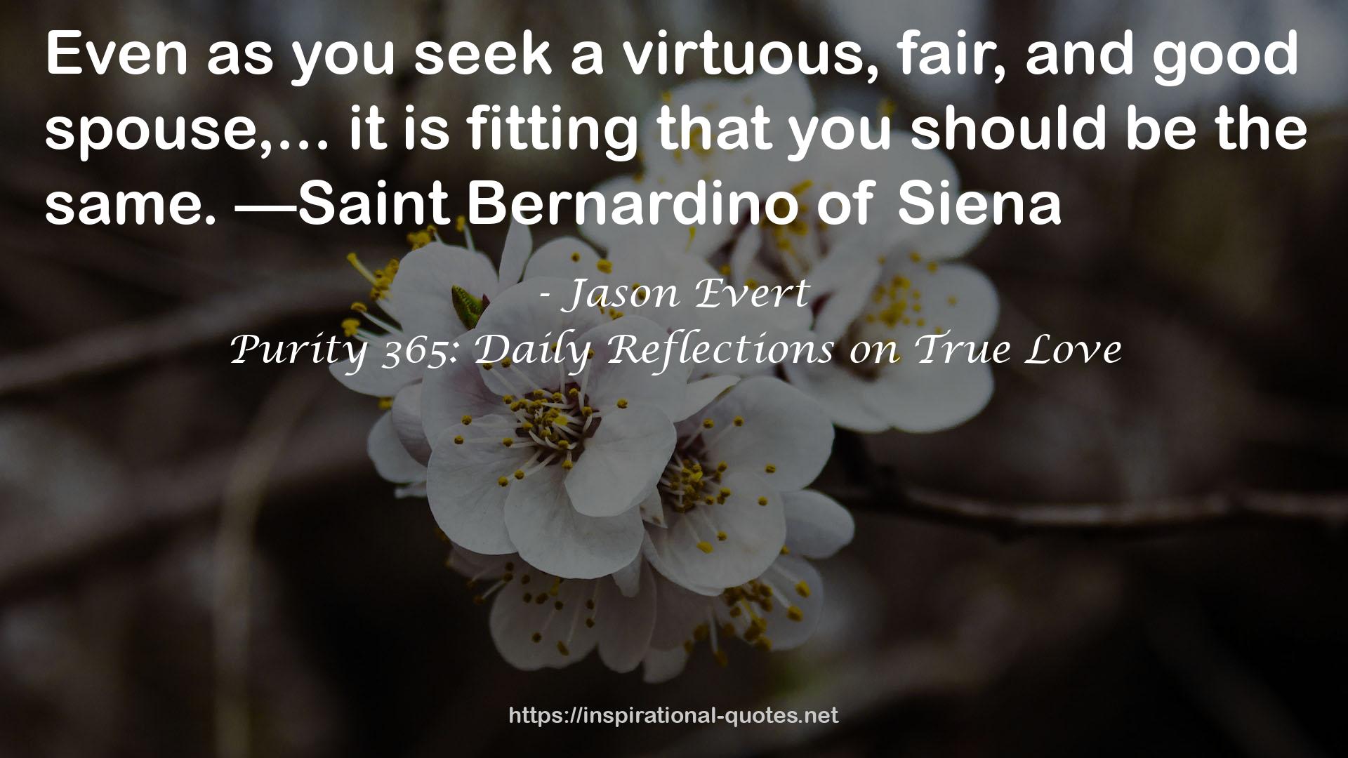 Purity 365: Daily Reflections on True Love QUOTES