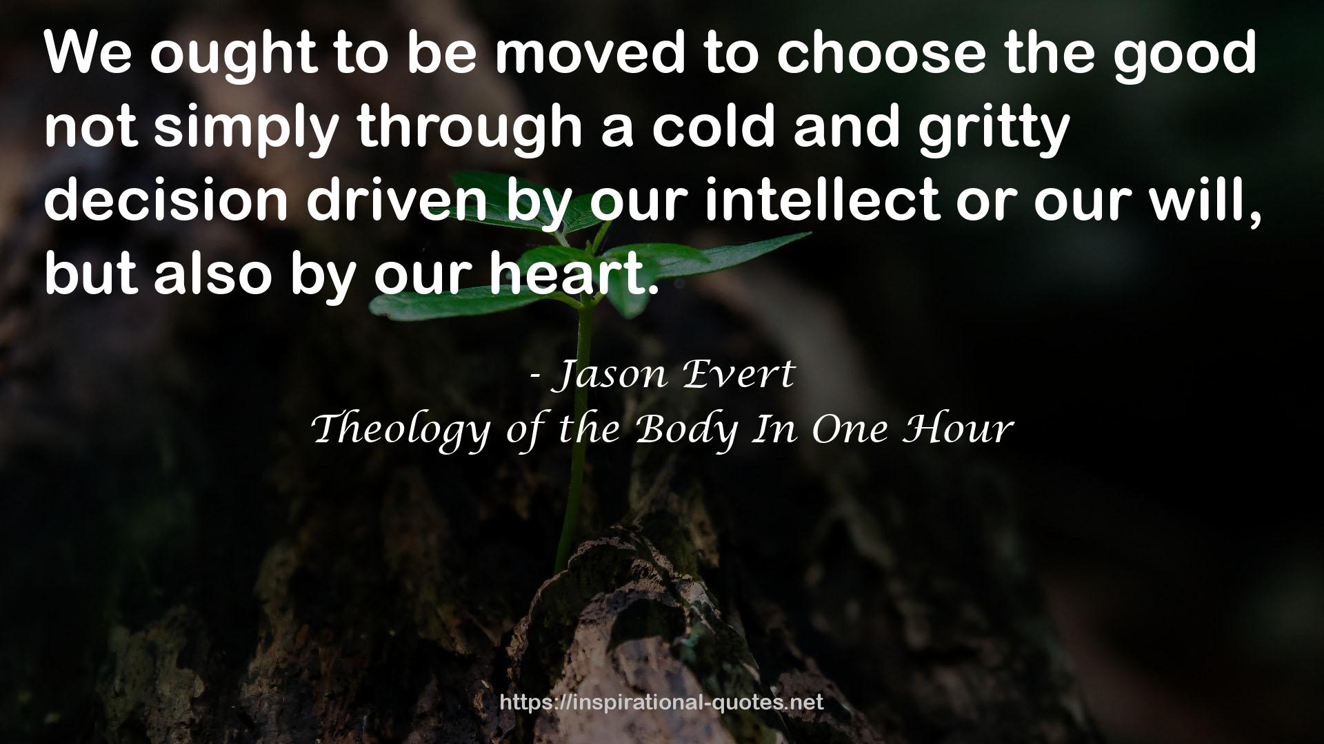 Theology of the Body In One Hour QUOTES