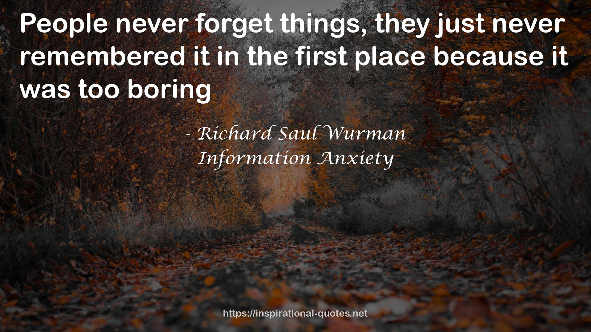 Information Anxiety QUOTES