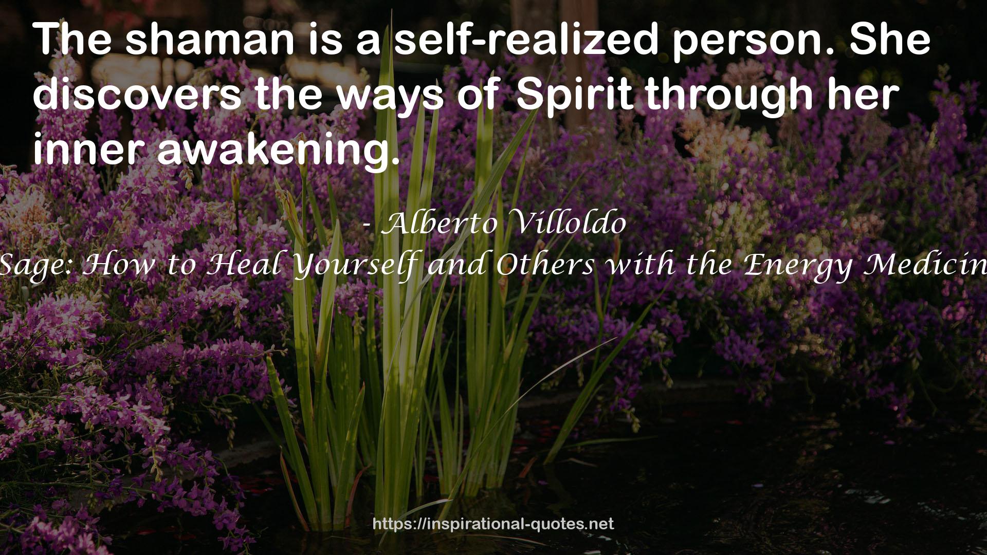 Shaman, Healer, Sage: How to Heal Yourself and Others with the Energy Medicine of the Americas QUOTES