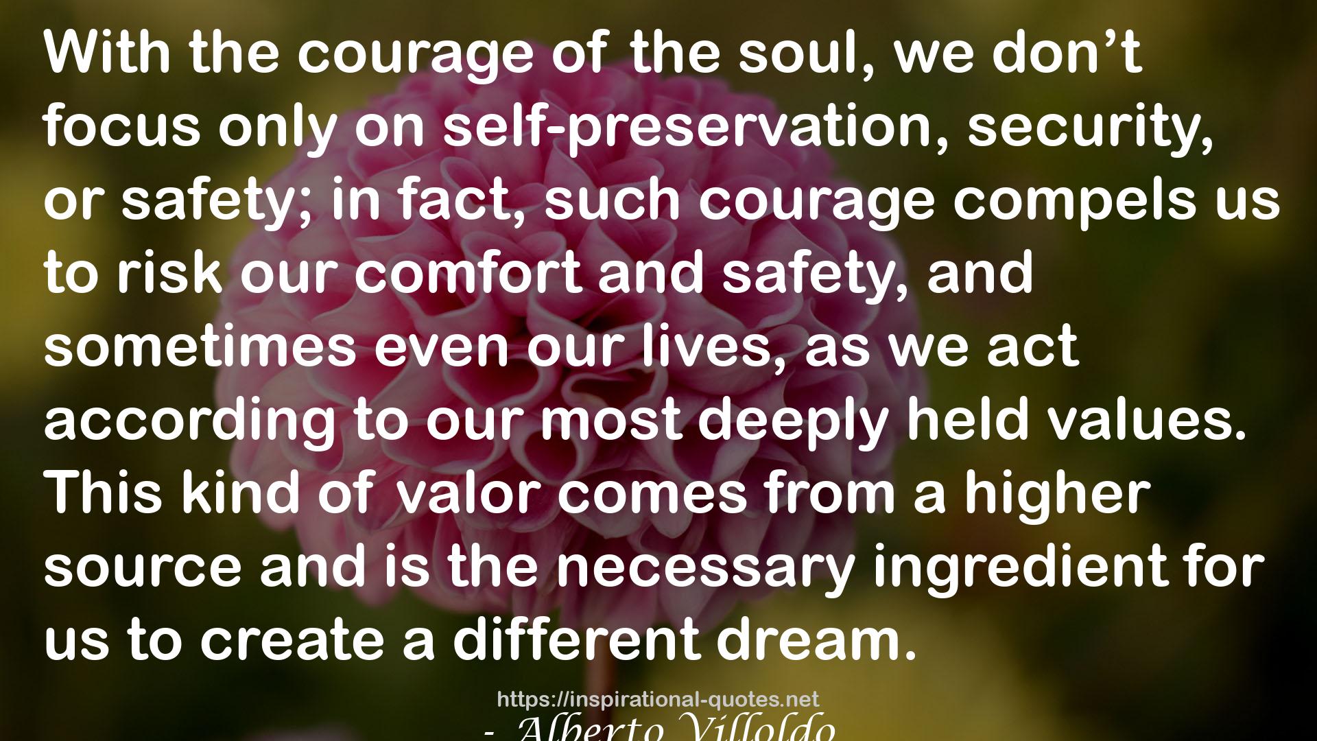 Courageous Dreaming: How Shamans Dream the World into Being QUOTES