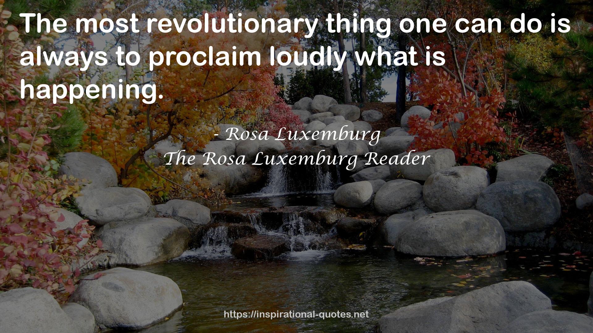 The Rosa Luxemburg Reader QUOTES