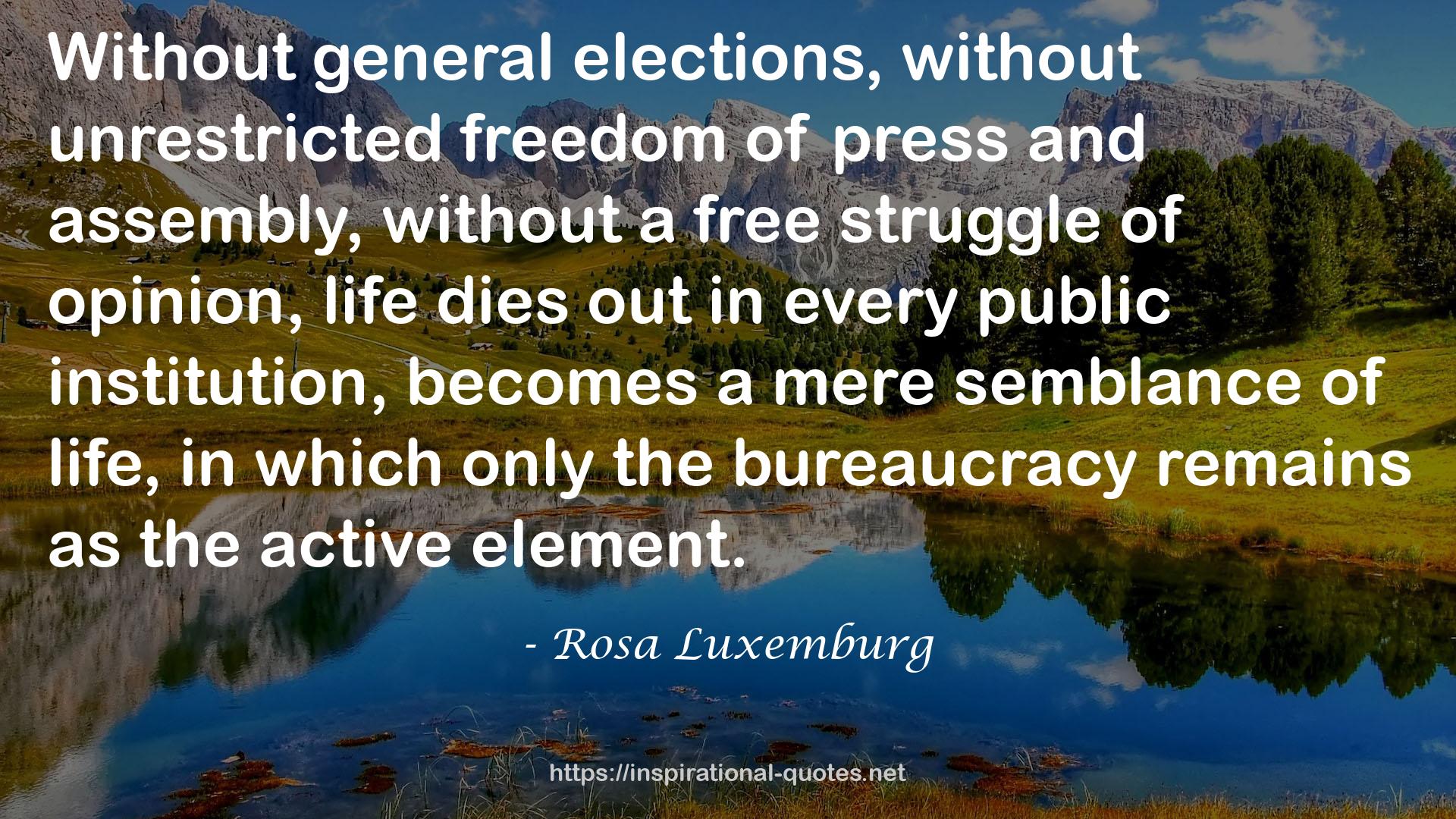 Rosa Luxemburg QUOTES