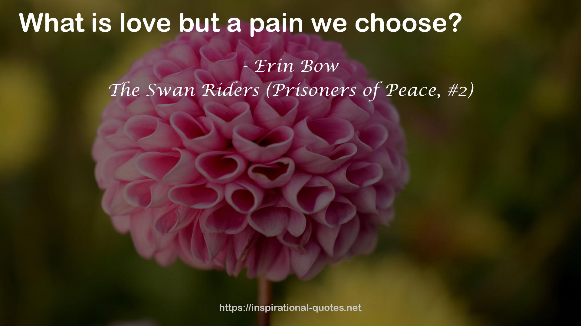 The Swan Riders (Prisoners of Peace, #2) QUOTES