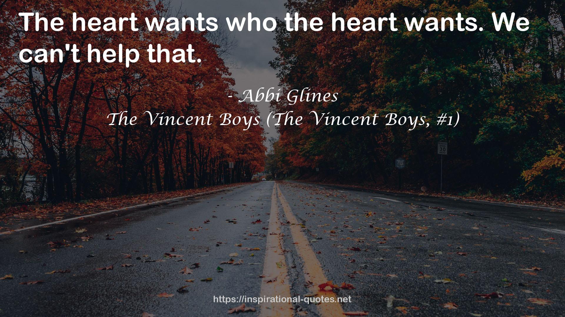 The Vincent Boys (The Vincent Boys, #1) QUOTES