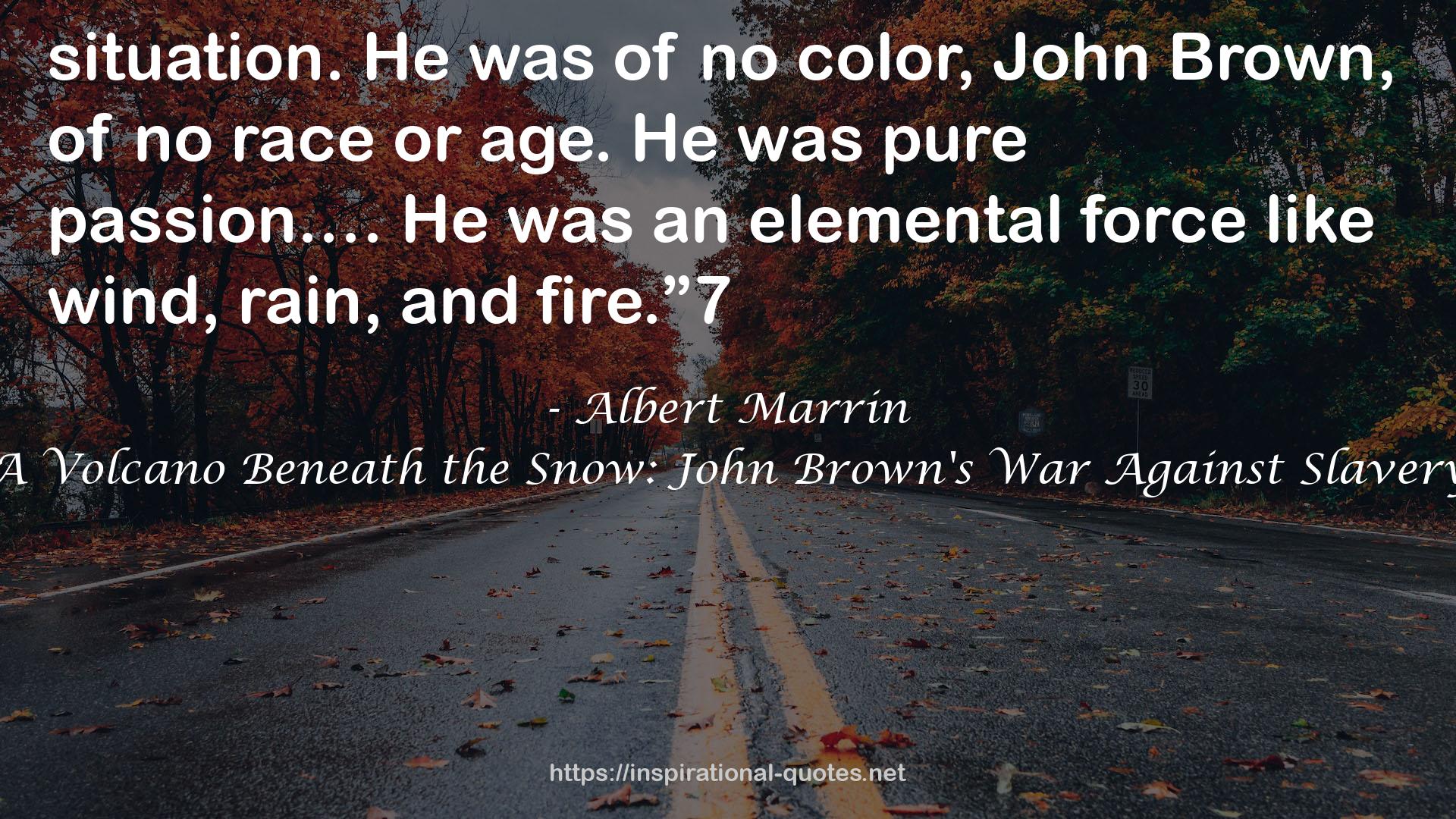 A Volcano Beneath the Snow: John Brown's War Against Slavery QUOTES