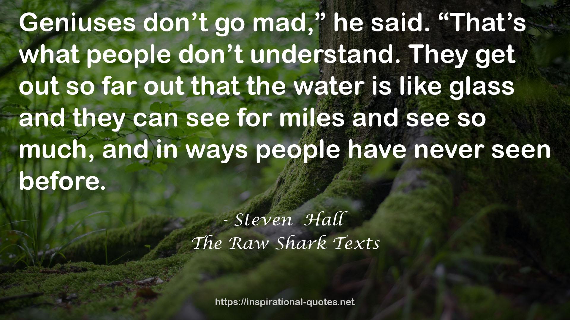 Steven  Hall QUOTES