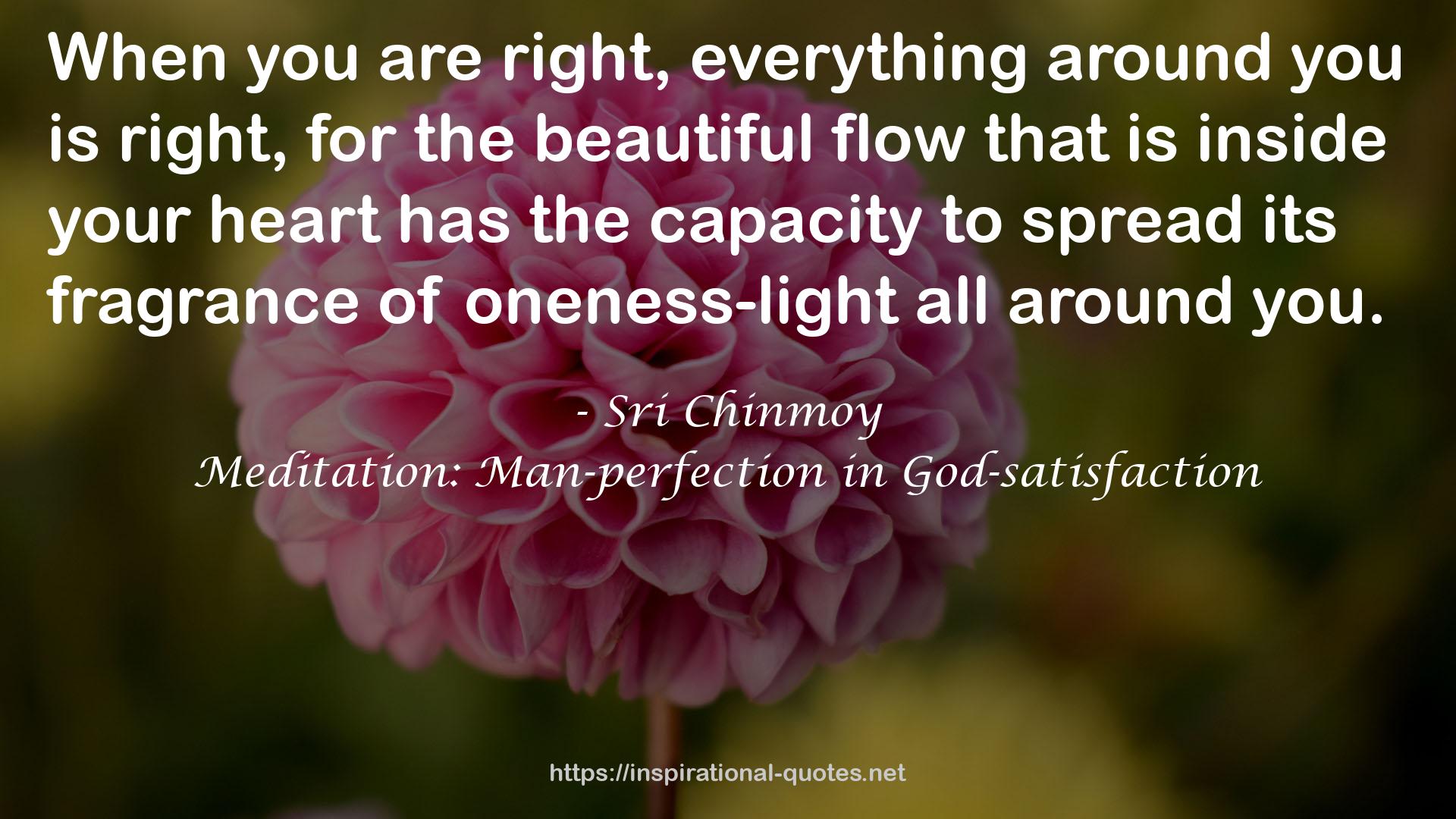 oneness-light  QUOTES