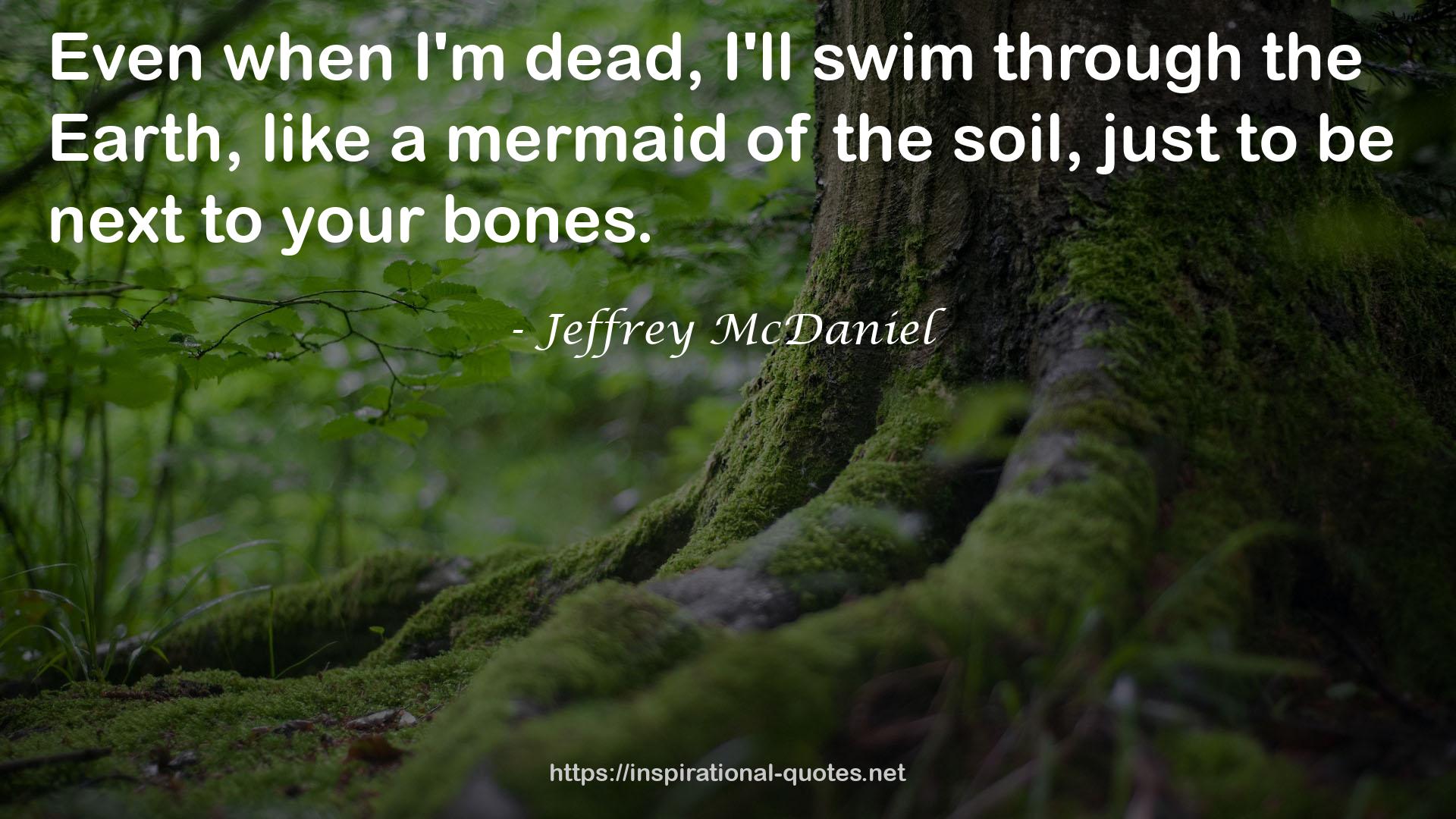 mermaid  QUOTES