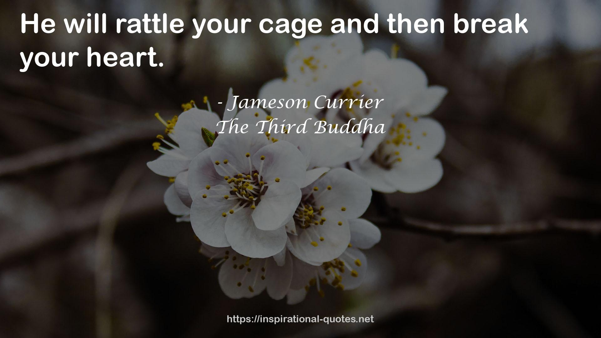 your cage  QUOTES