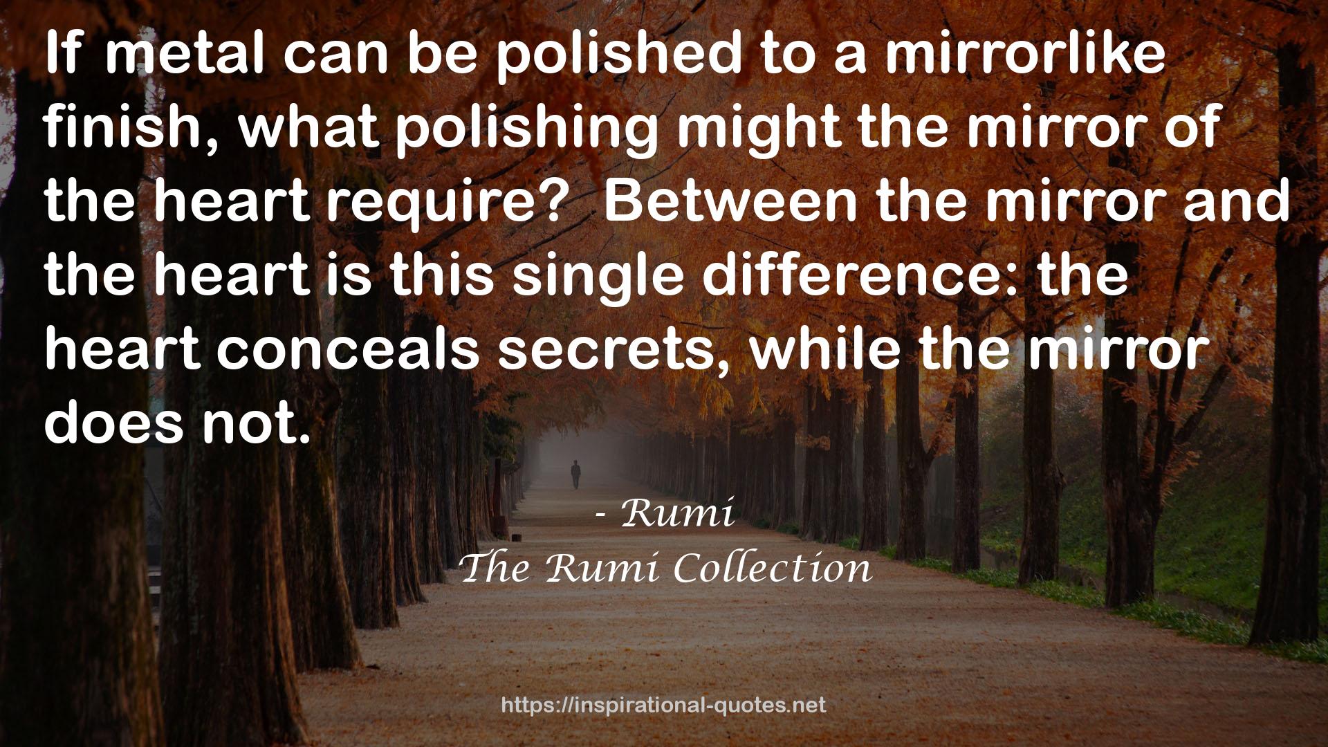 The Rumi Collection QUOTES