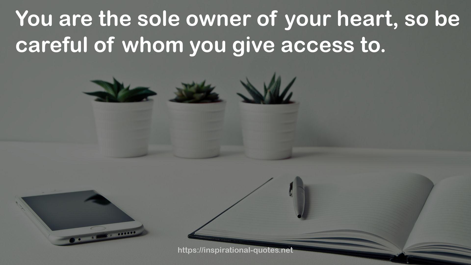 the sole owner  QUOTES