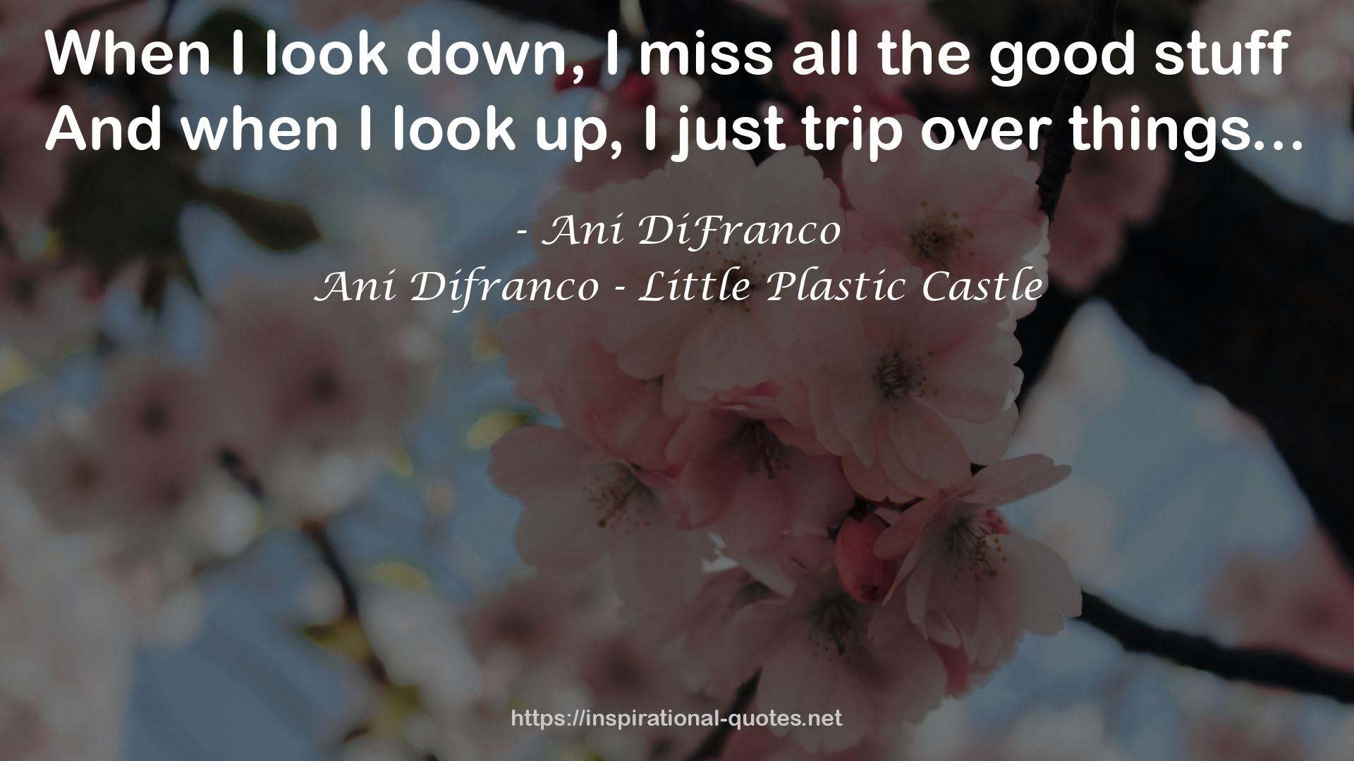 Ani Difranco - Little Plastic Castle QUOTES