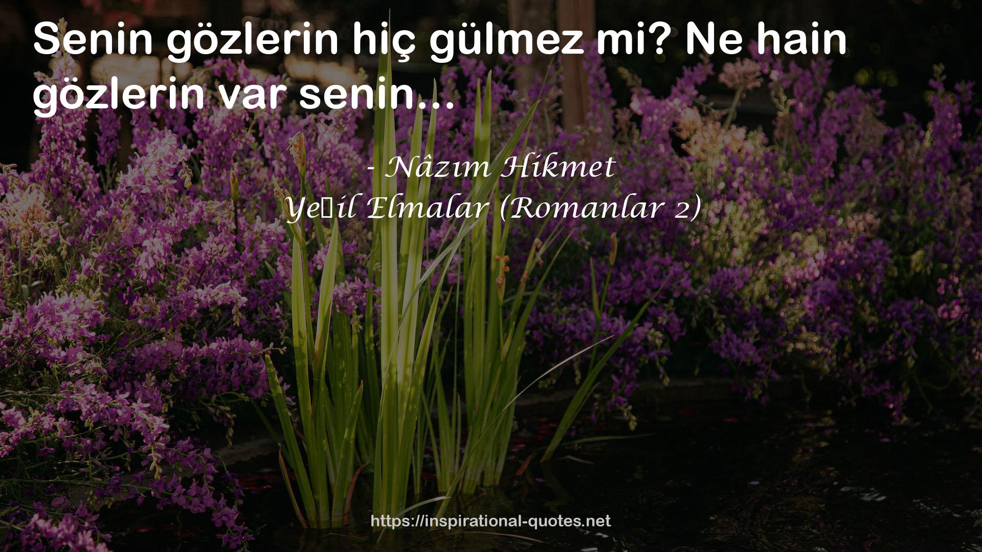 Yeşil Elmalar (Romanlar 2) QUOTES