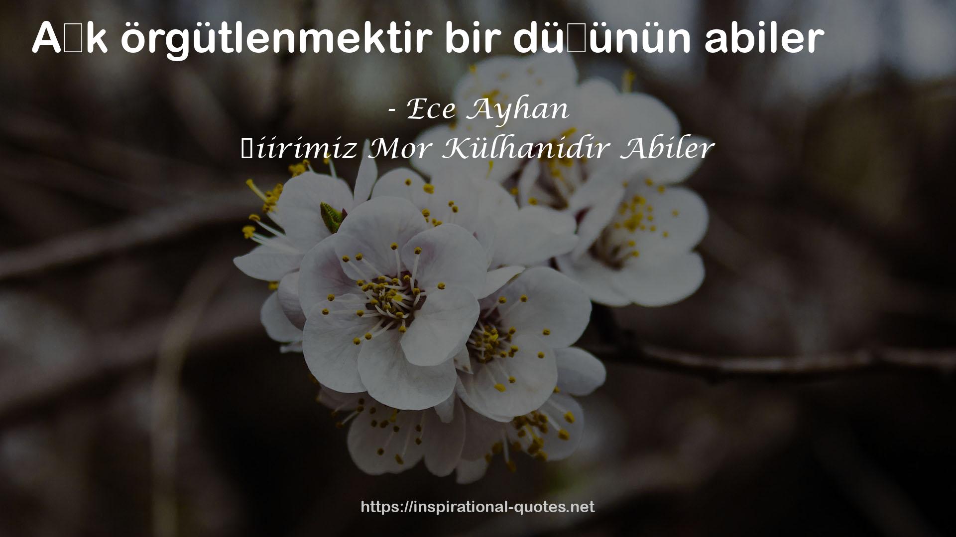 Şiirimiz Mor Külhanidir Abiler QUOTES