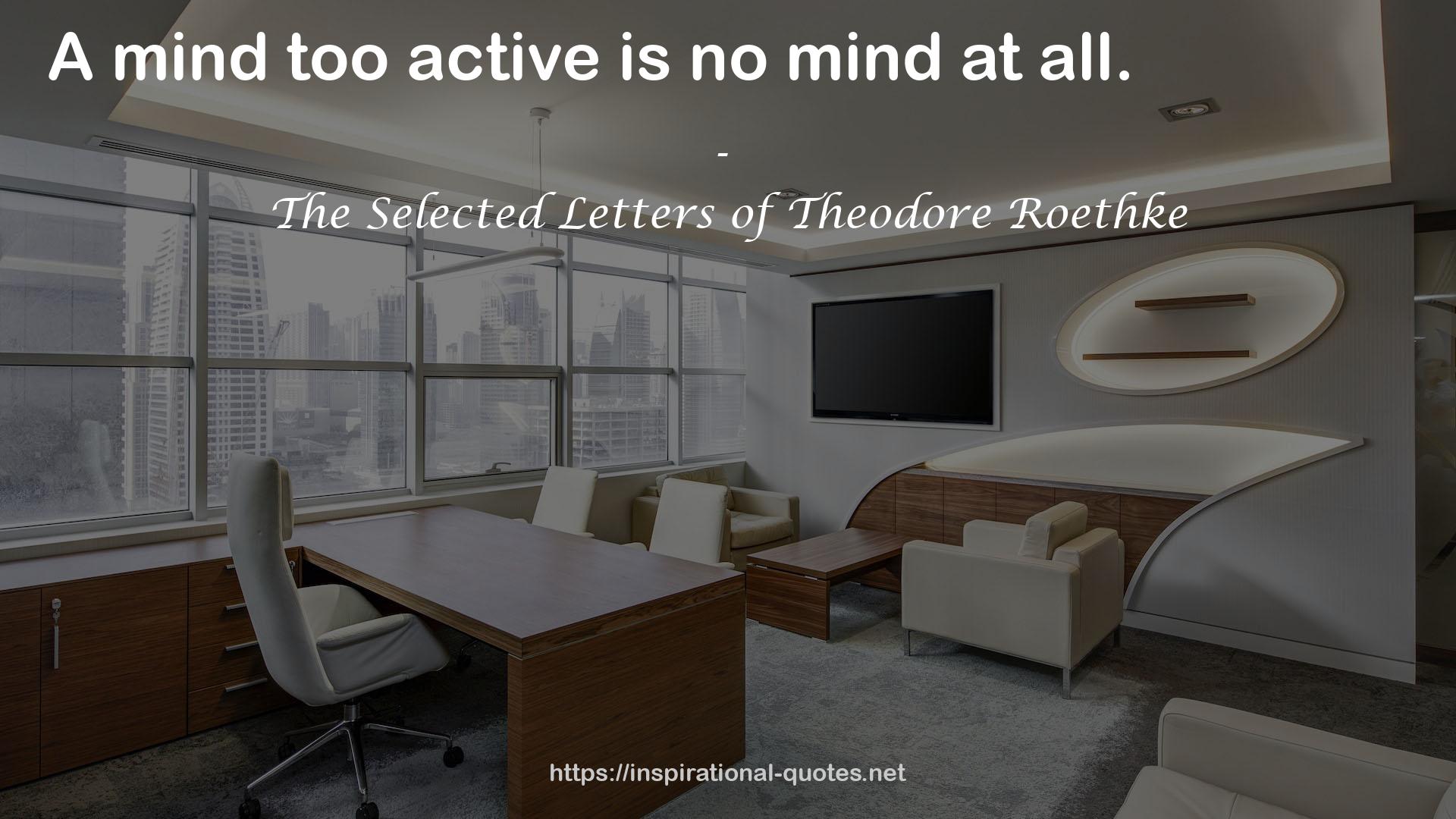 The Selected Letters of Theodore Roethke QUOTES