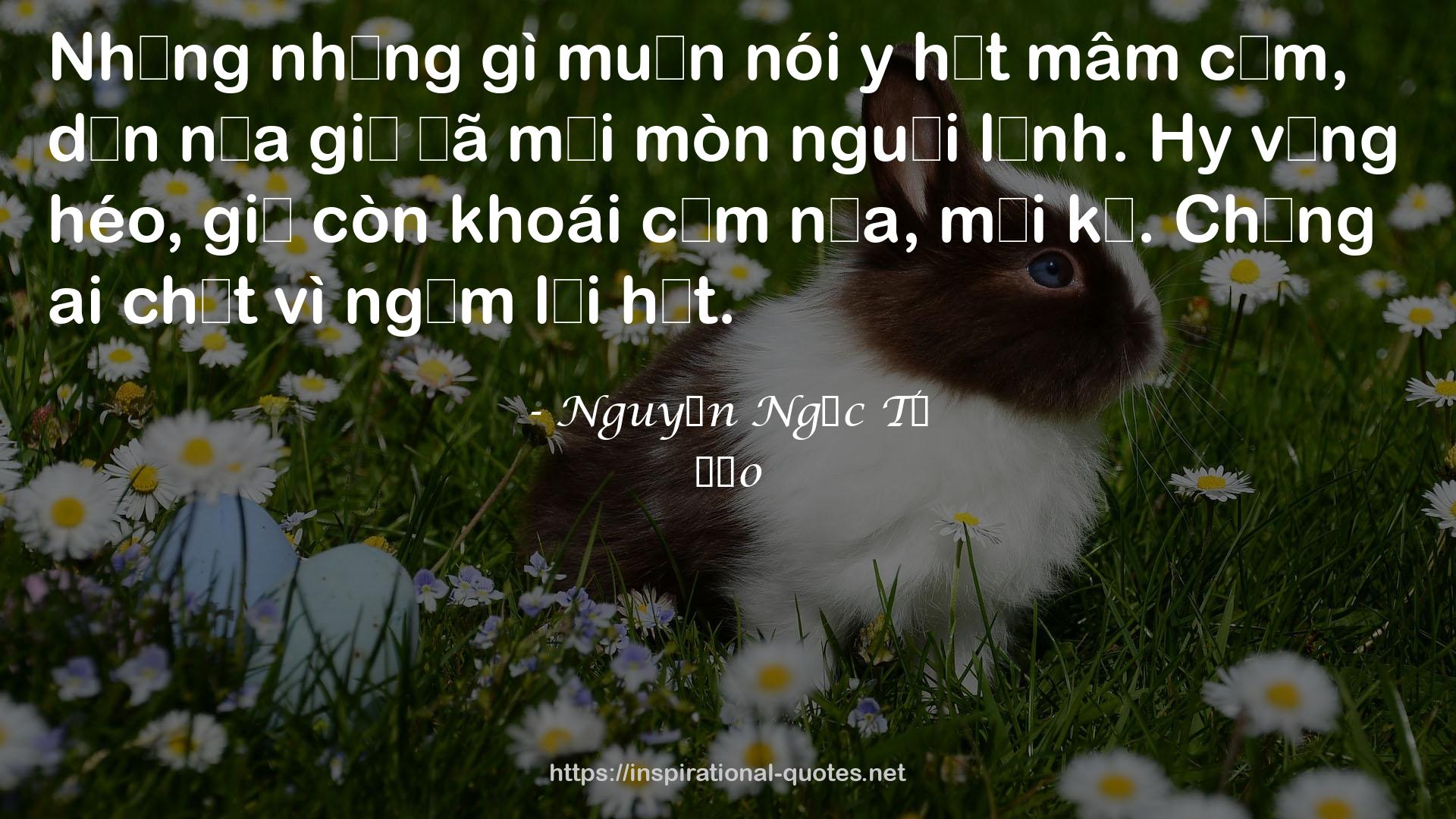 Đảo QUOTES