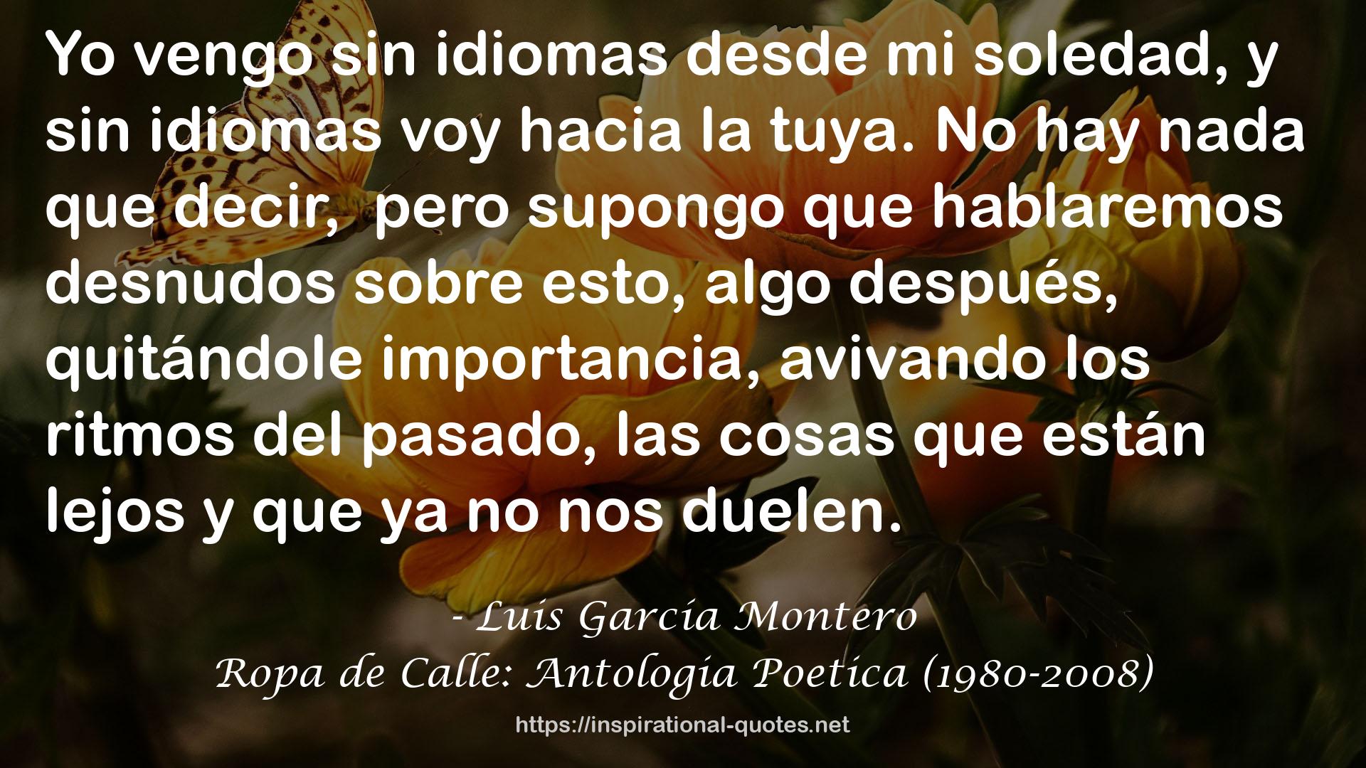 Ropa de Calle: Antologia Poetica (1980-2008) QUOTES