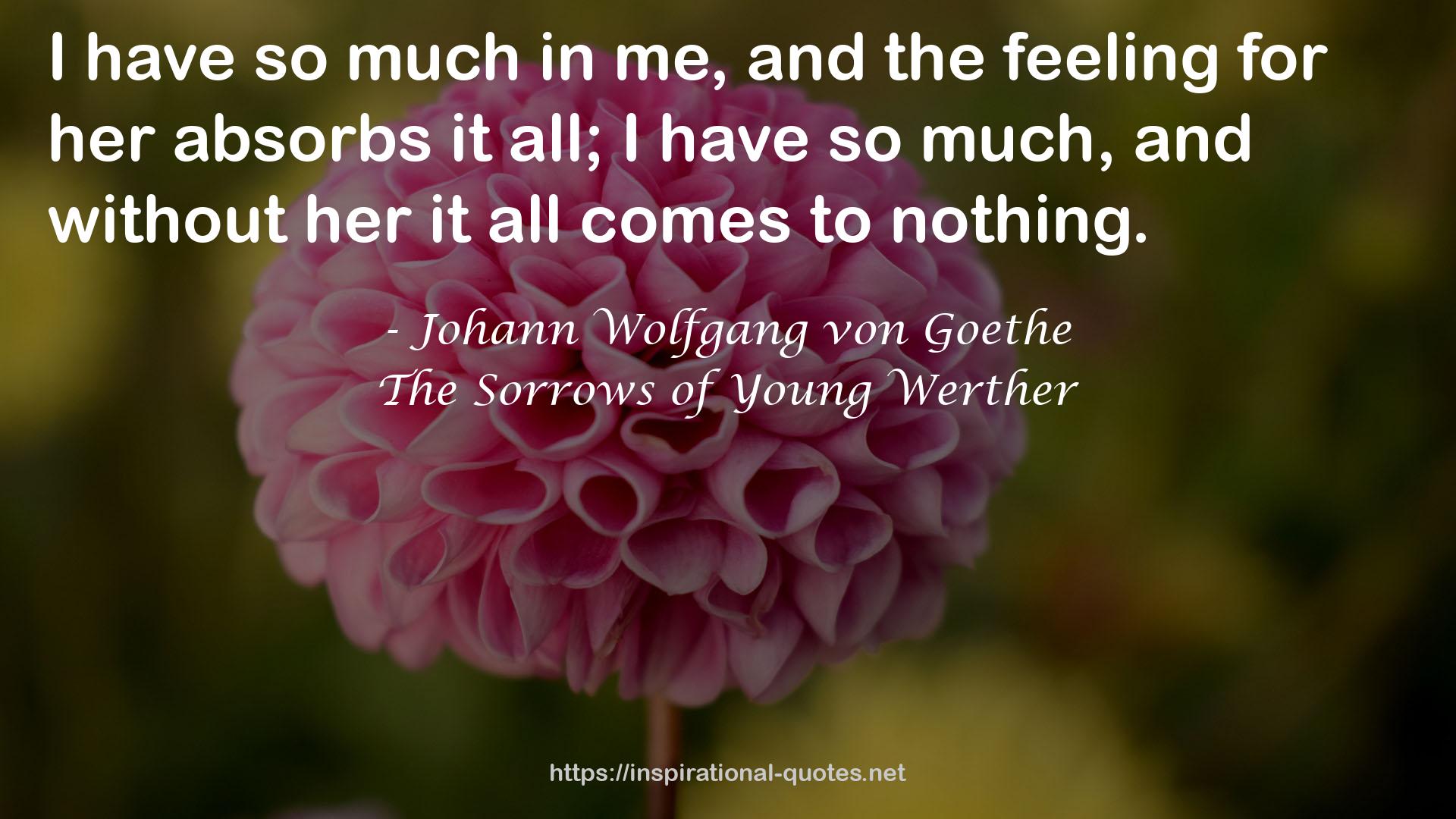 The Sorrows of Young Werther QUOTES