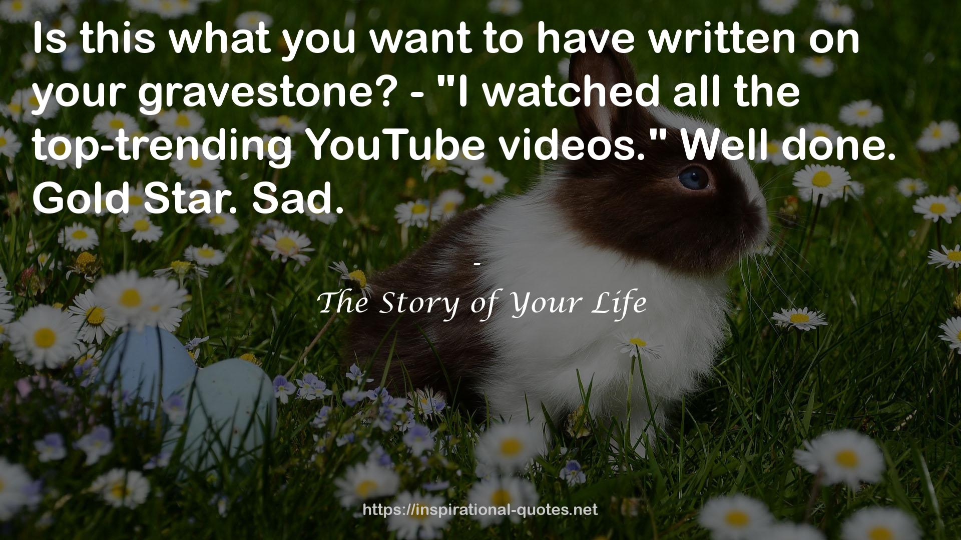 The Story of Your Life QUOTES