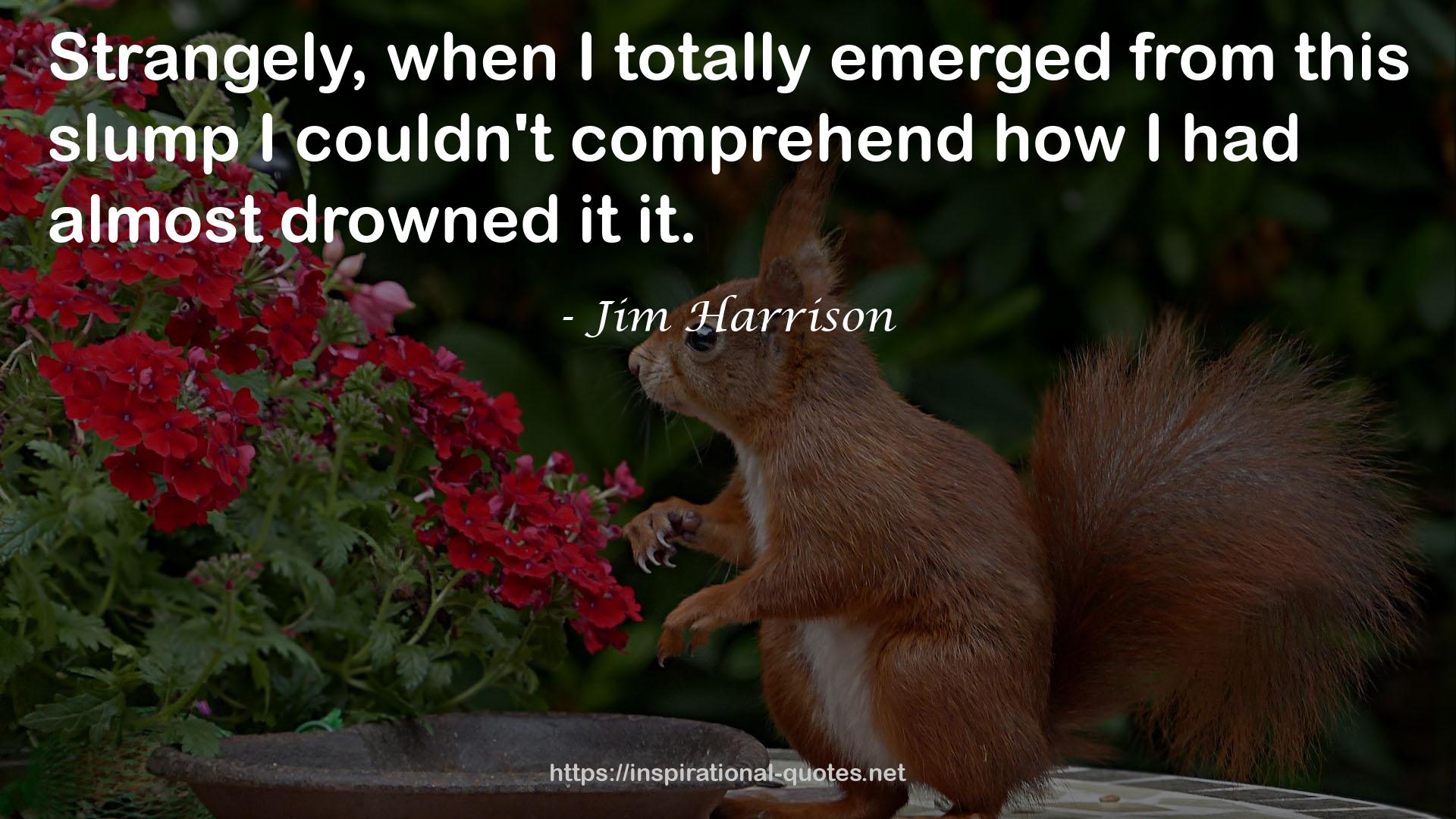 Jim Harrison QUOTES