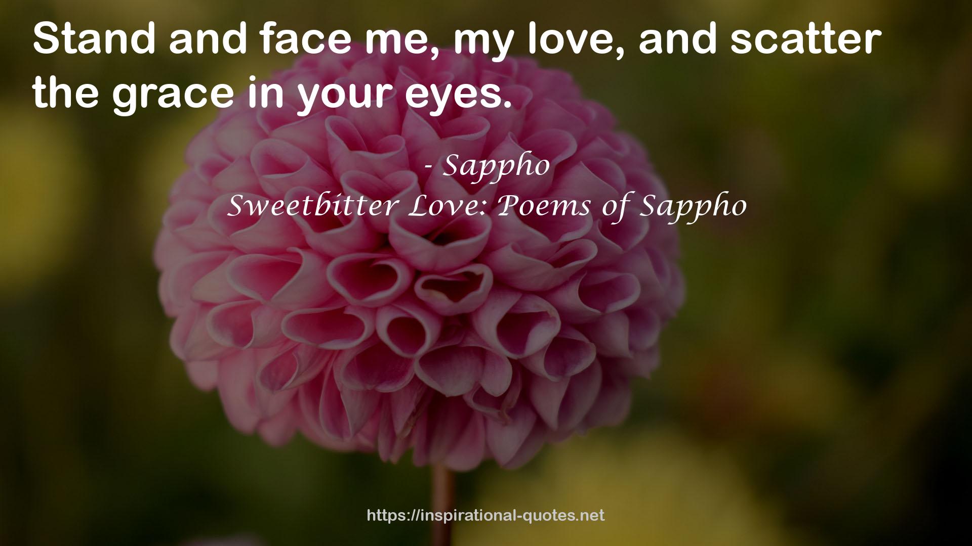 Sweetbitter Love: Poems of Sappho QUOTES